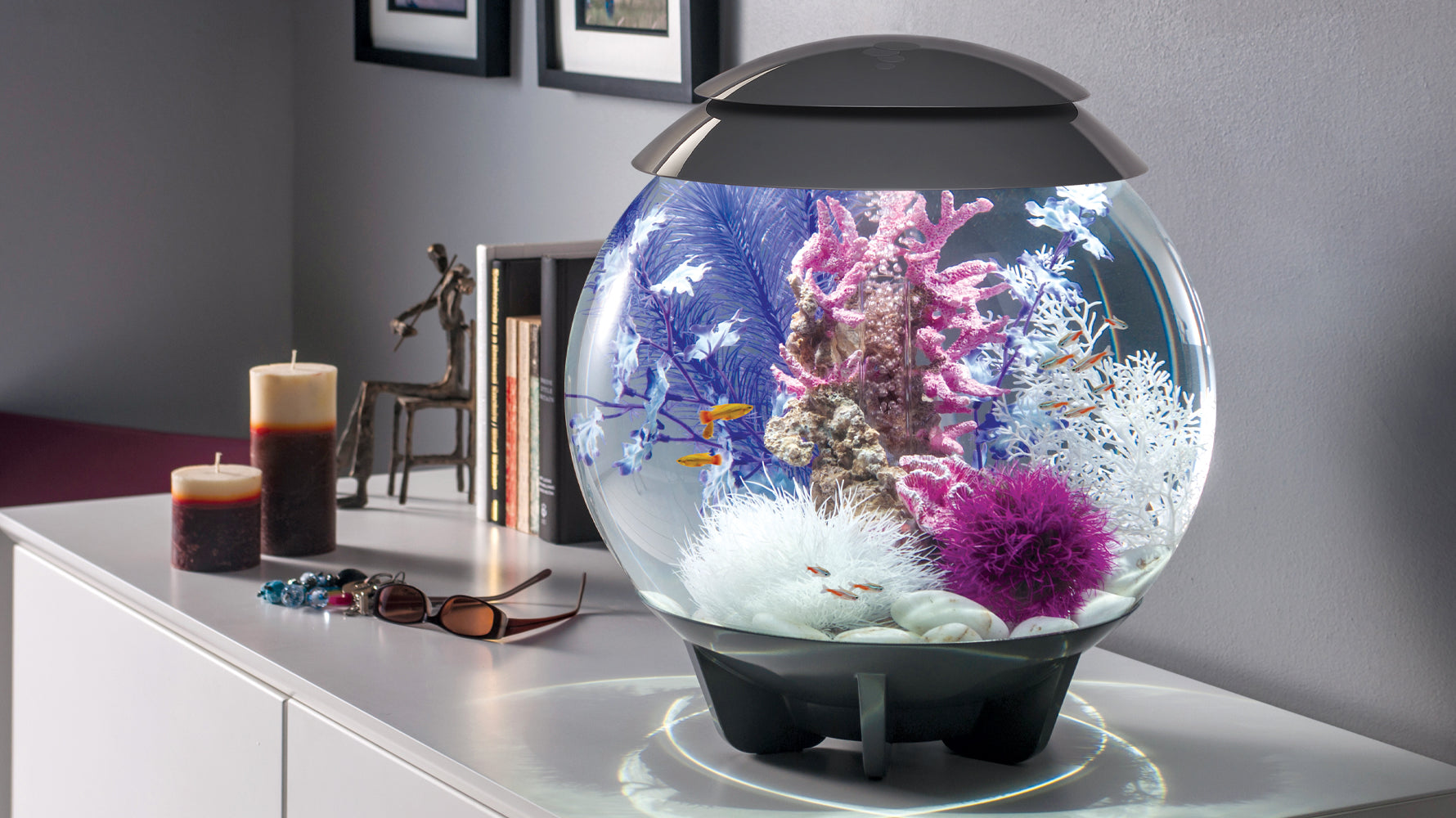 biOrb HALO Aquarium