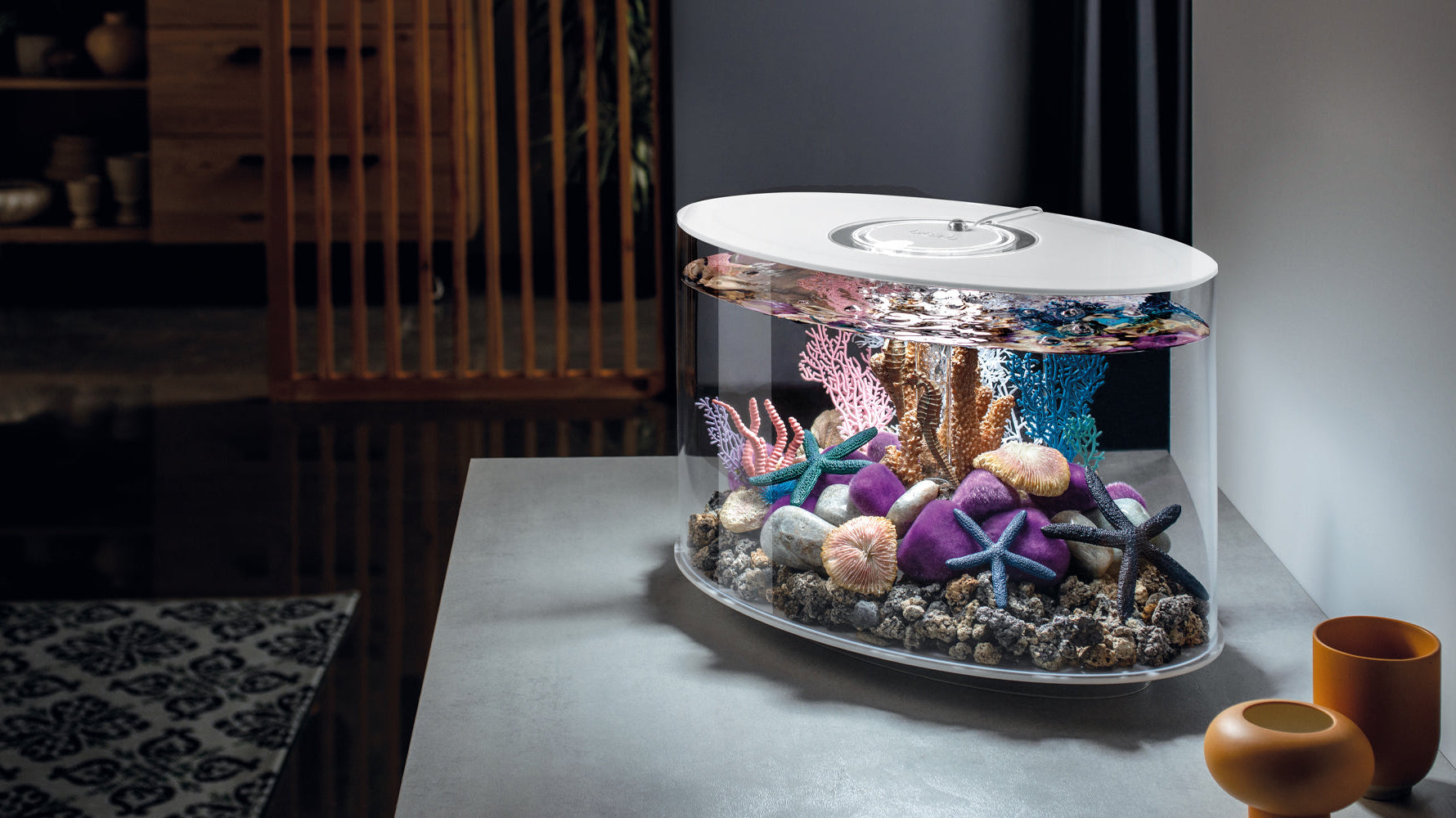 A Sensory Escape: The Science of Aquariums, Lighting, and Mental Well-Being