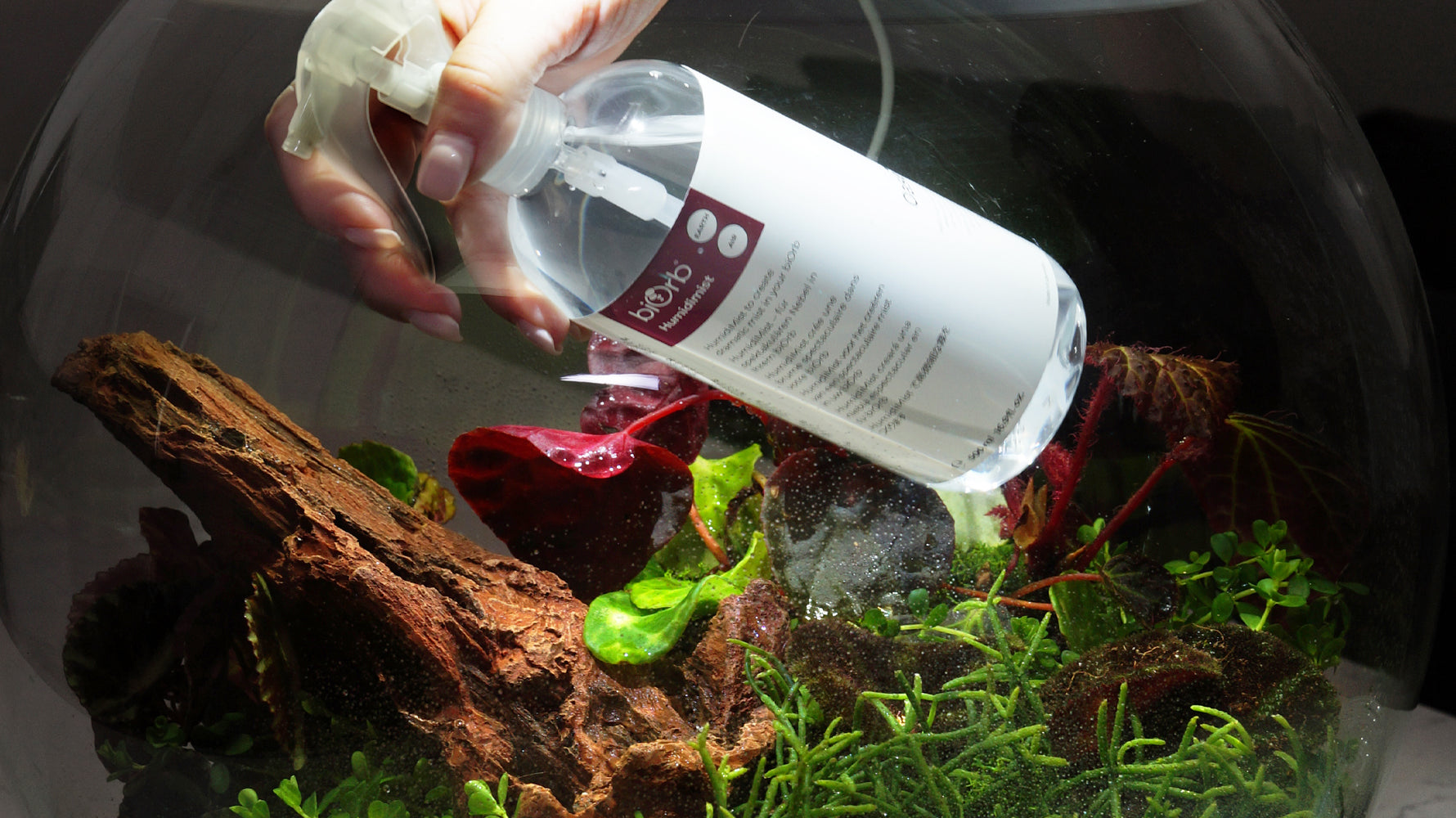biOrb AIR terrarium with humidimist