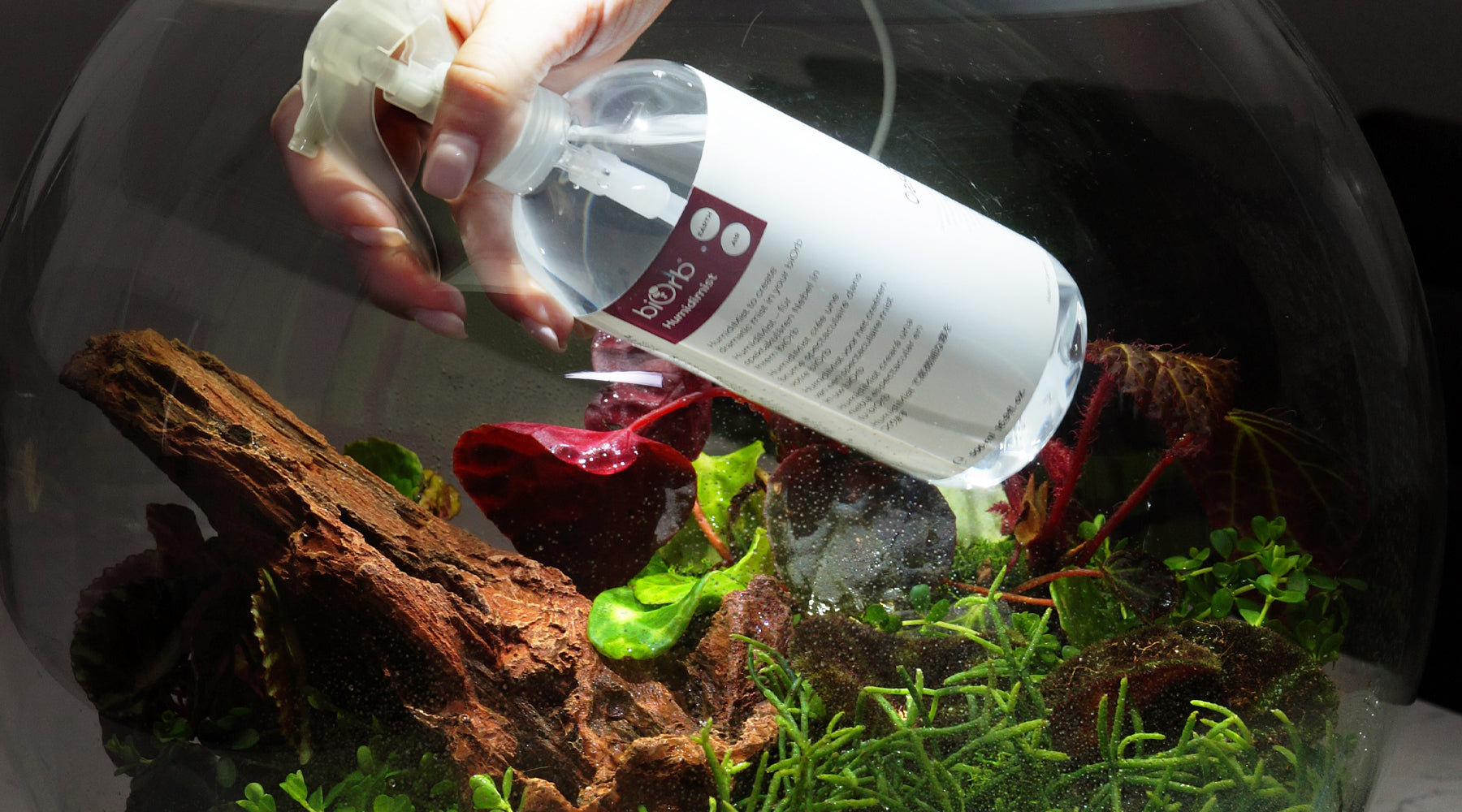biOrb AIR terrarium with humidimist