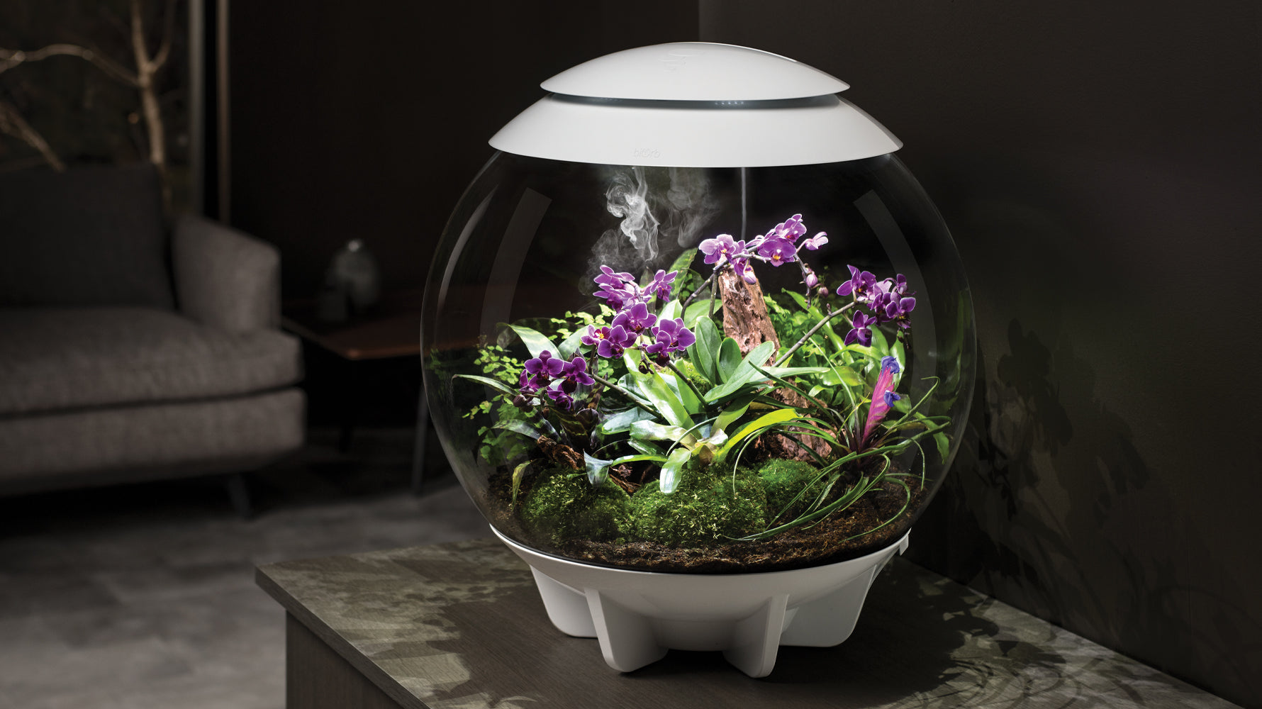 biOrb AIR Terrarium with orchids