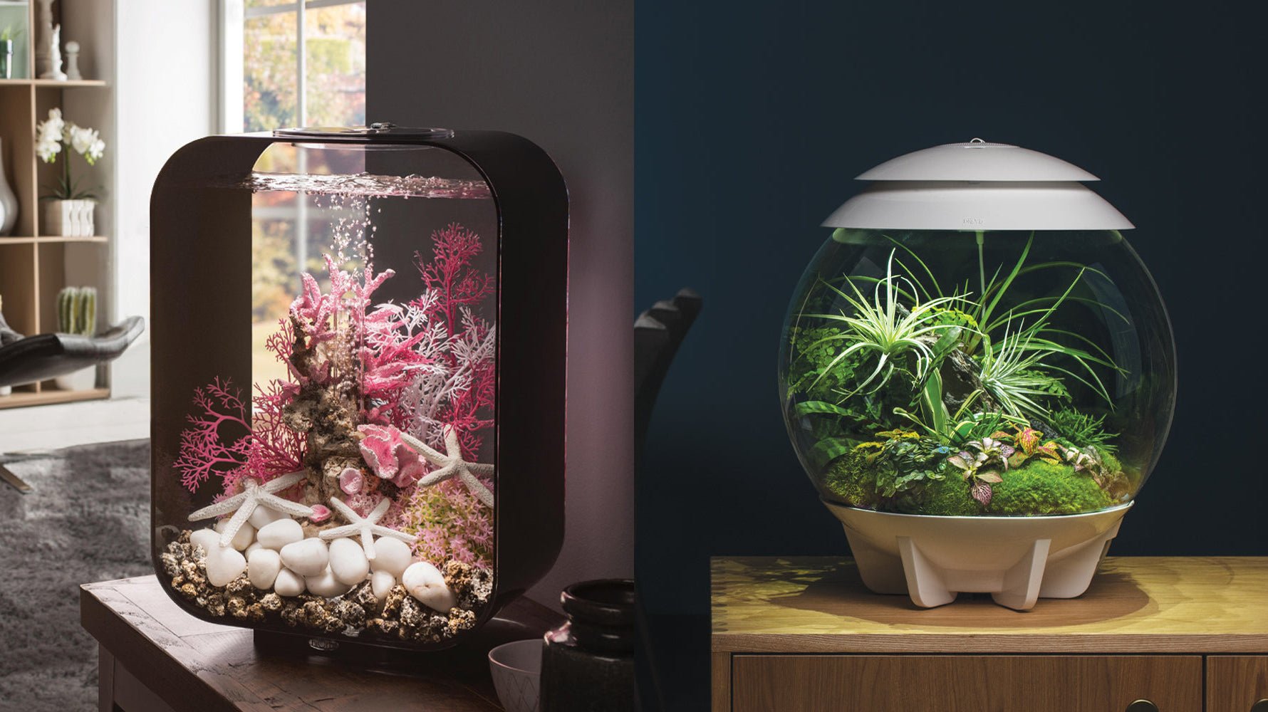 The Joy of New Beginnings: Introducing a biOrb to Your Home