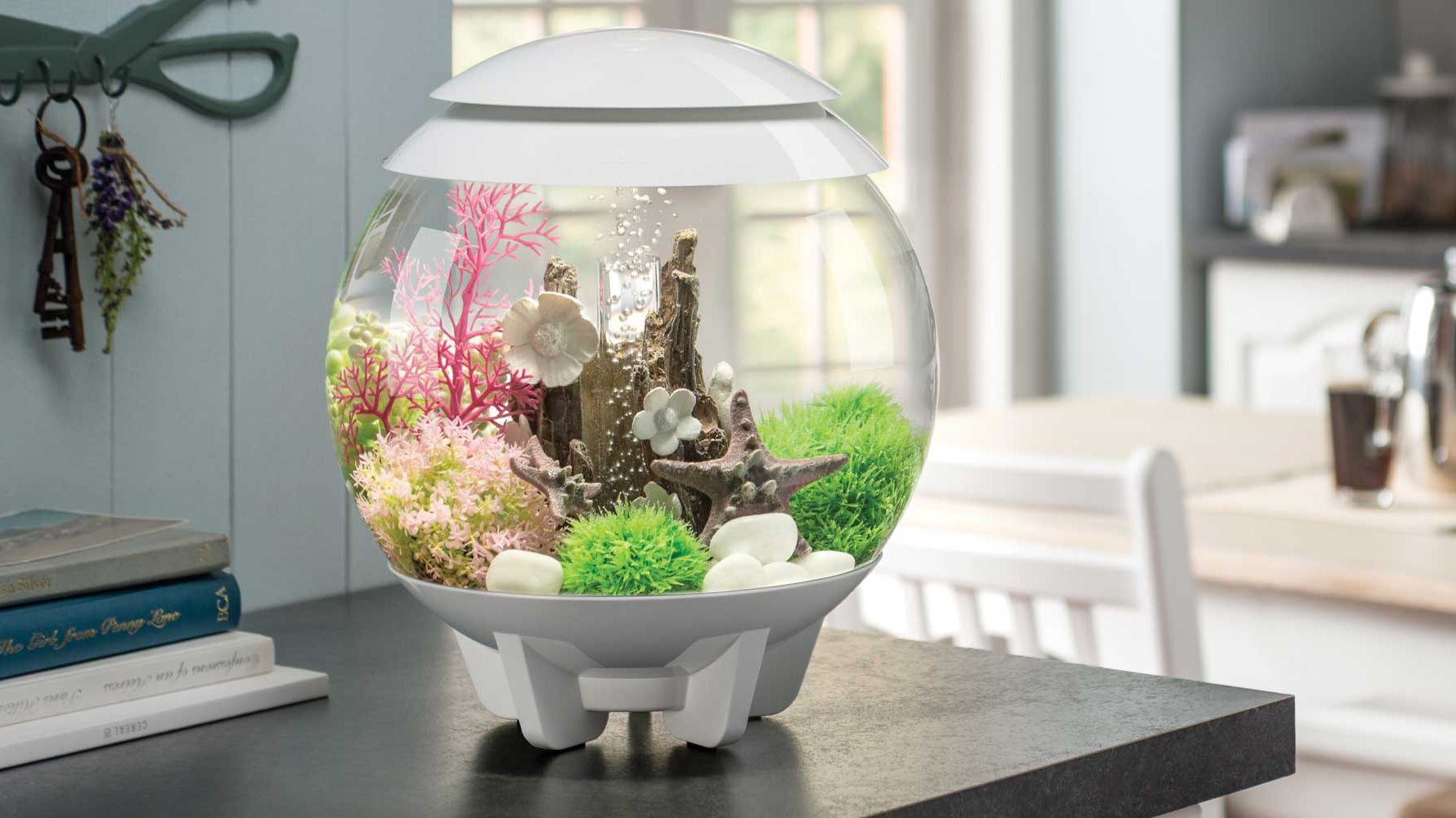 Early Signs of Spring: Refresh Your Home with Nature-Inspired biOrb Decor