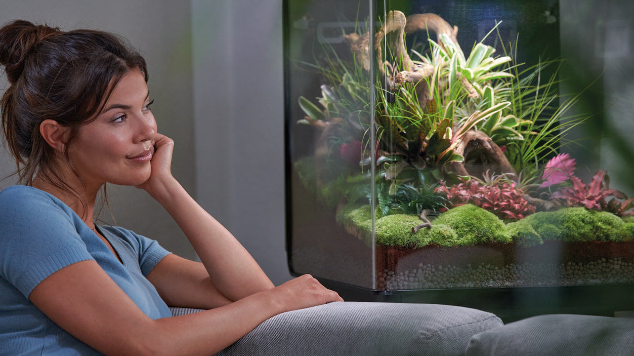 Your Home, Your Wellness Retreat: Designing a Relaxation Space with biOrb