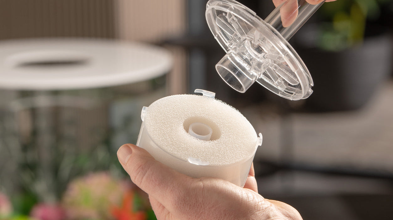 Spring Cleaning for Your biOrb: Best Aquarium Maintenance Tips for a Fresh Start