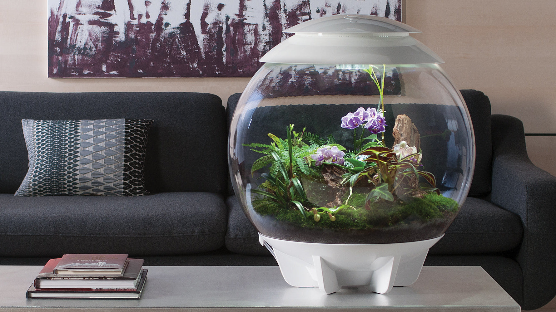 Beginner or Plant Pro: Is a biOrb Terrarium Right for You?