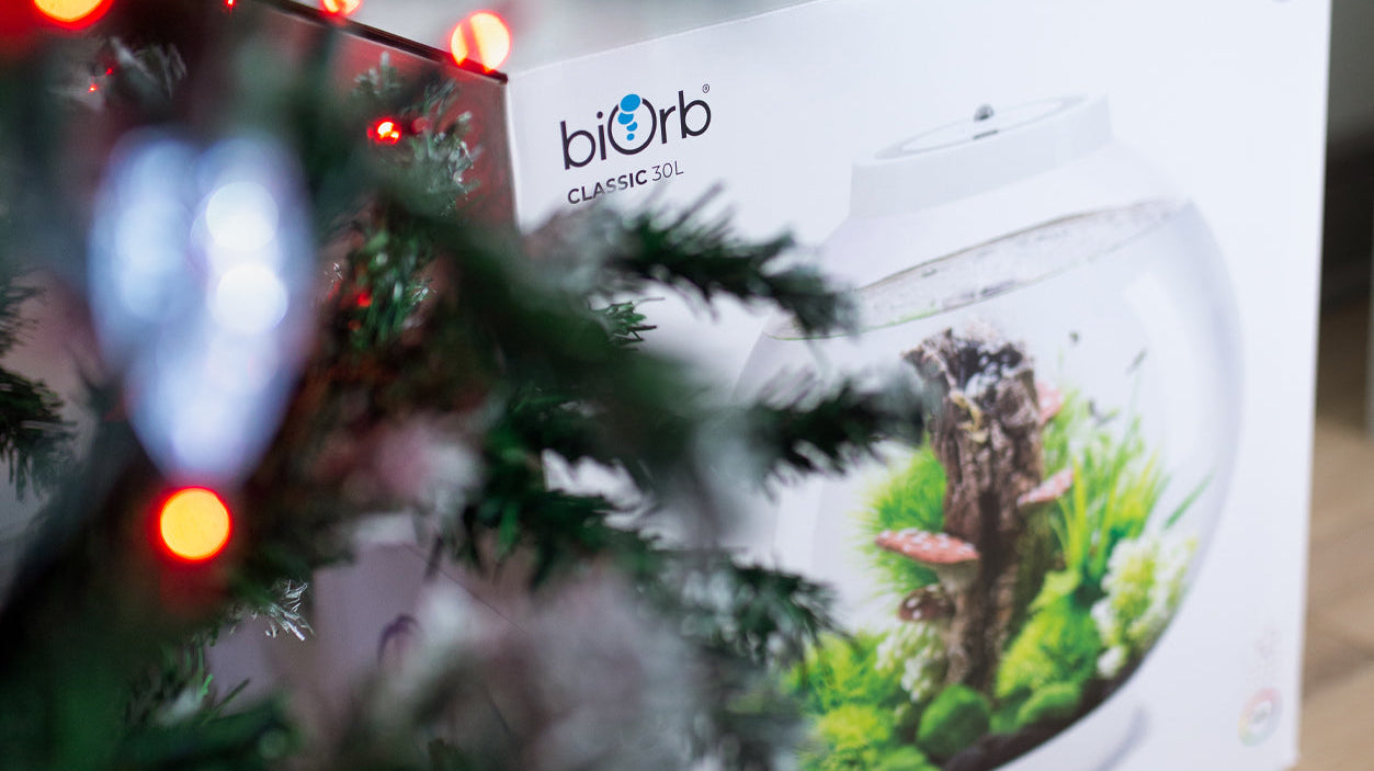 The Complete biOrb Gift Idea List