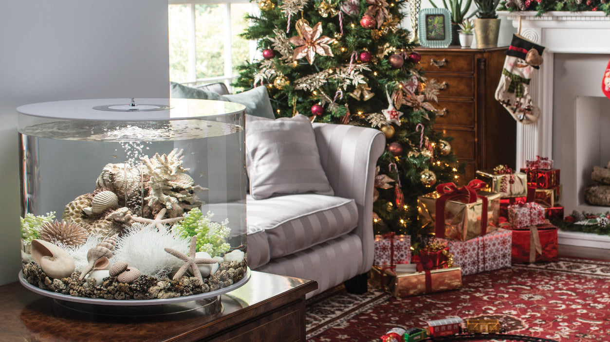 The biOrb Home Decor Holiday Edit