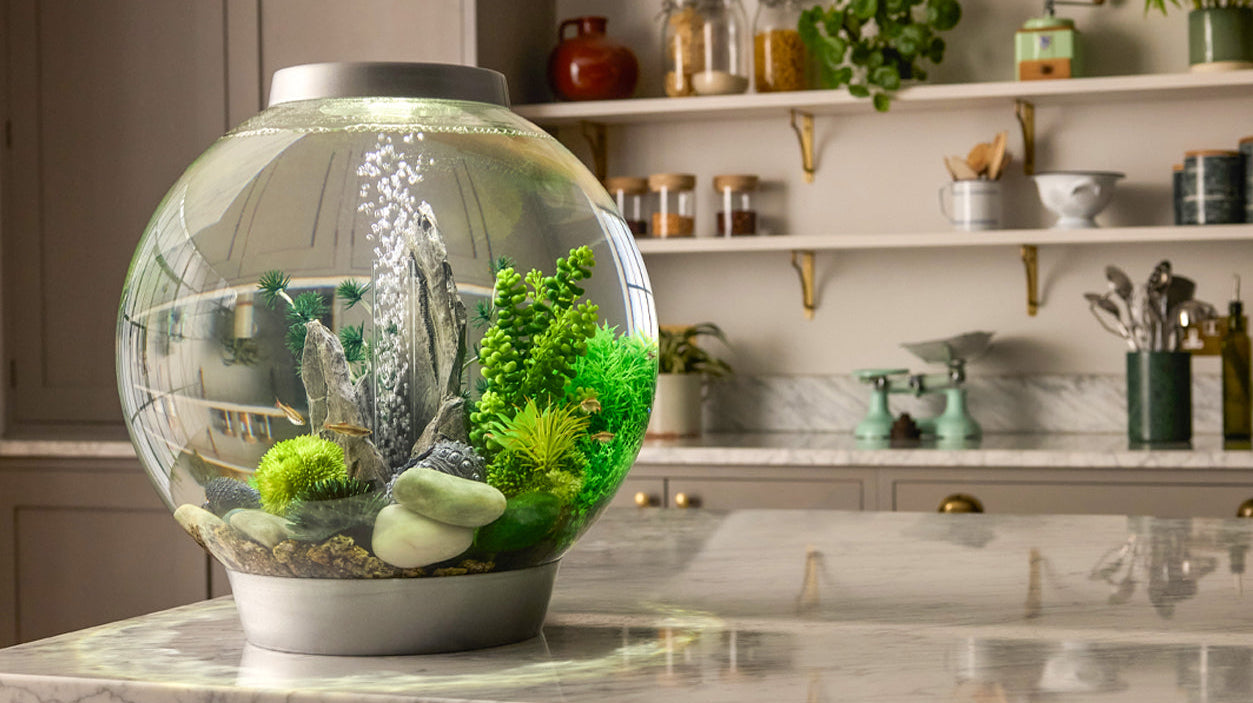 Make Time for Calm During the Holidays with biOrb