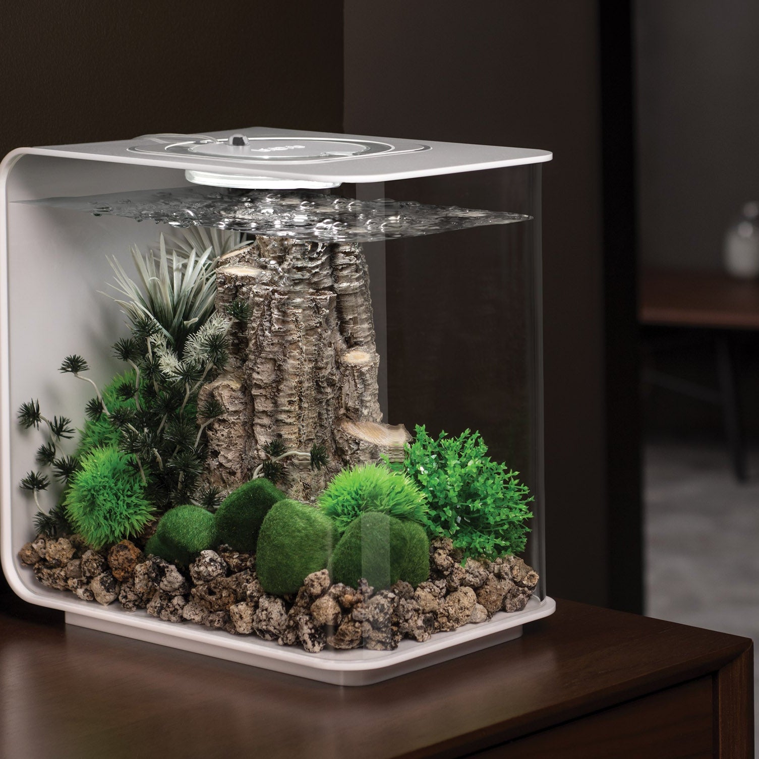 FLOW Aquariums