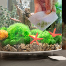 Cleaning Pads - In use