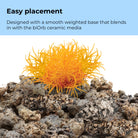 Aquatic Color Ball Set - Easy placement