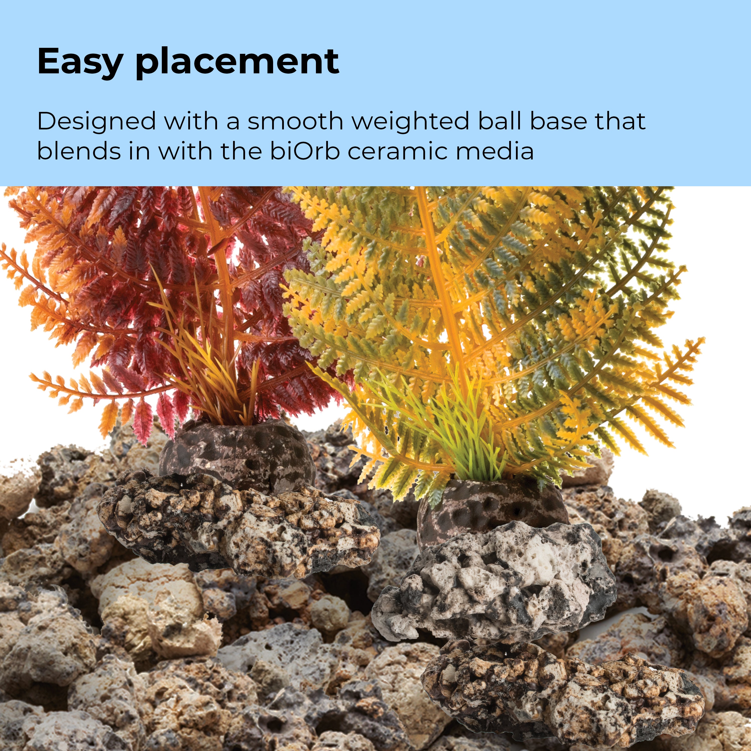 Fern Plant Set - Easy placement