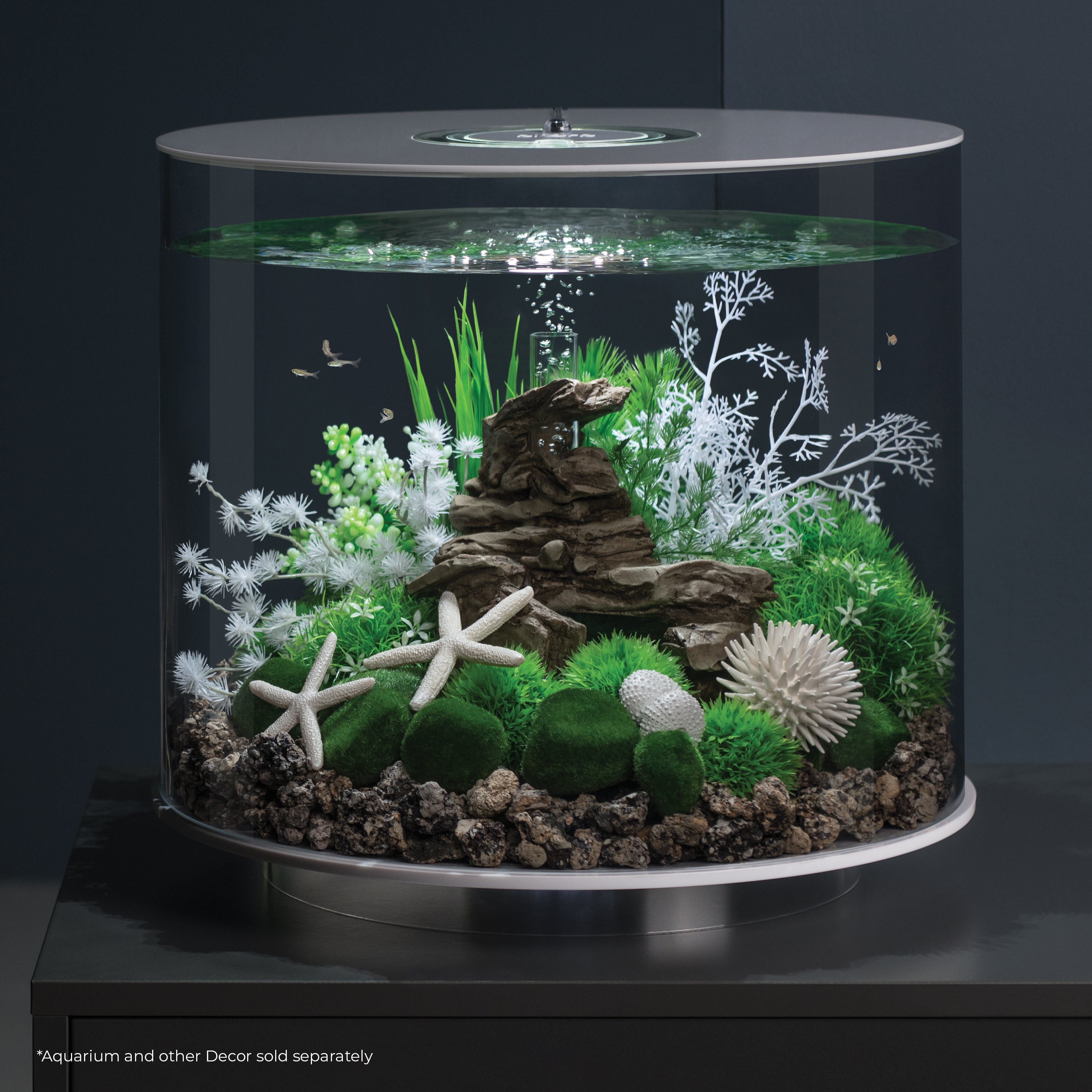 Medium Sea Fan - White In Use