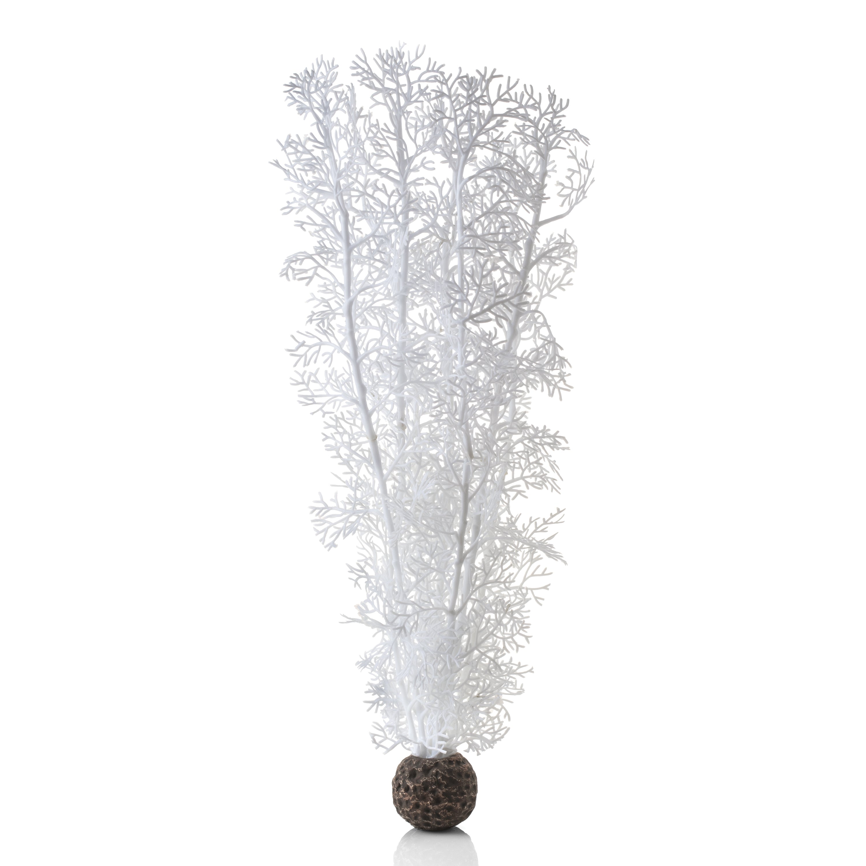 Large Sea Fan - White