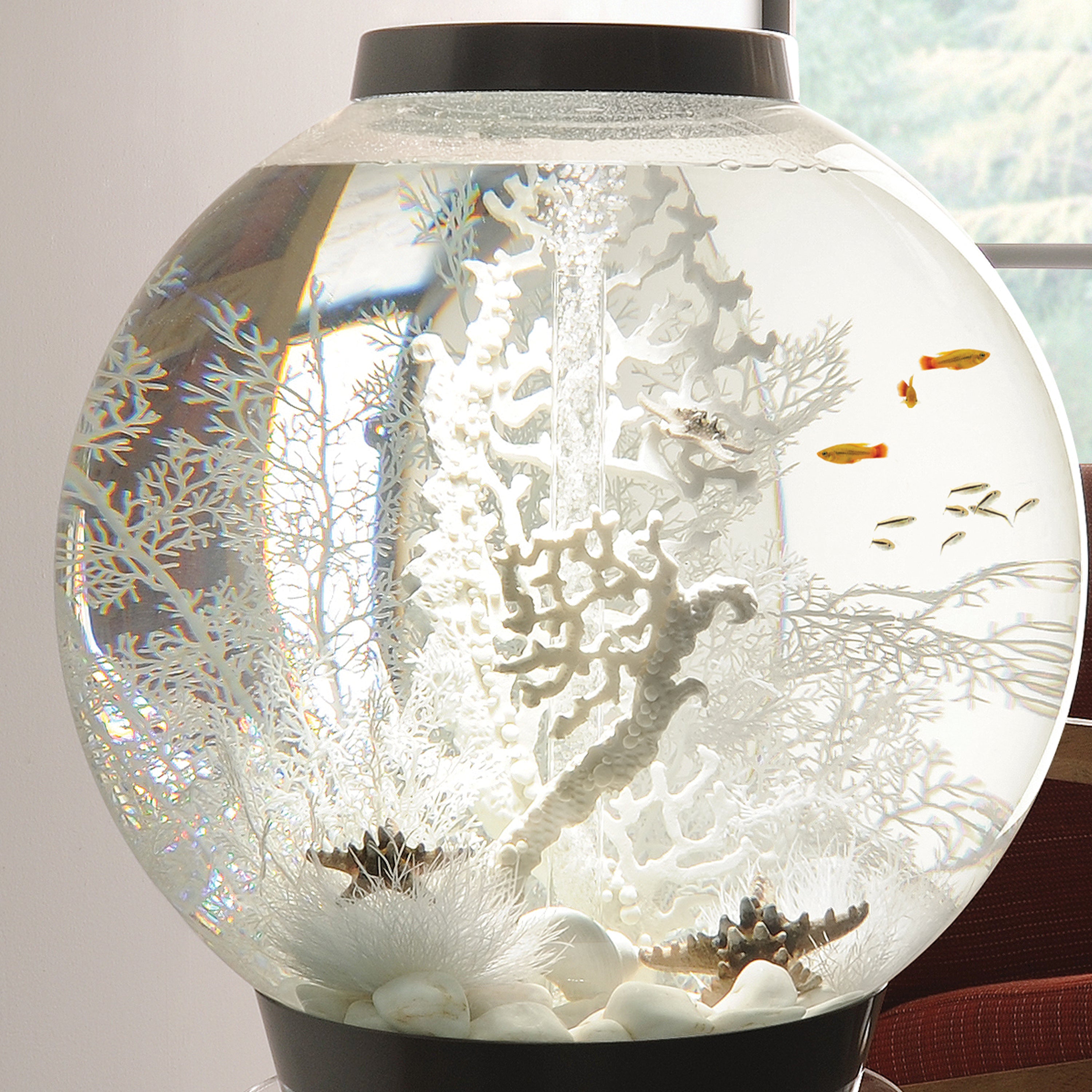 Large Sea Fan - White In use