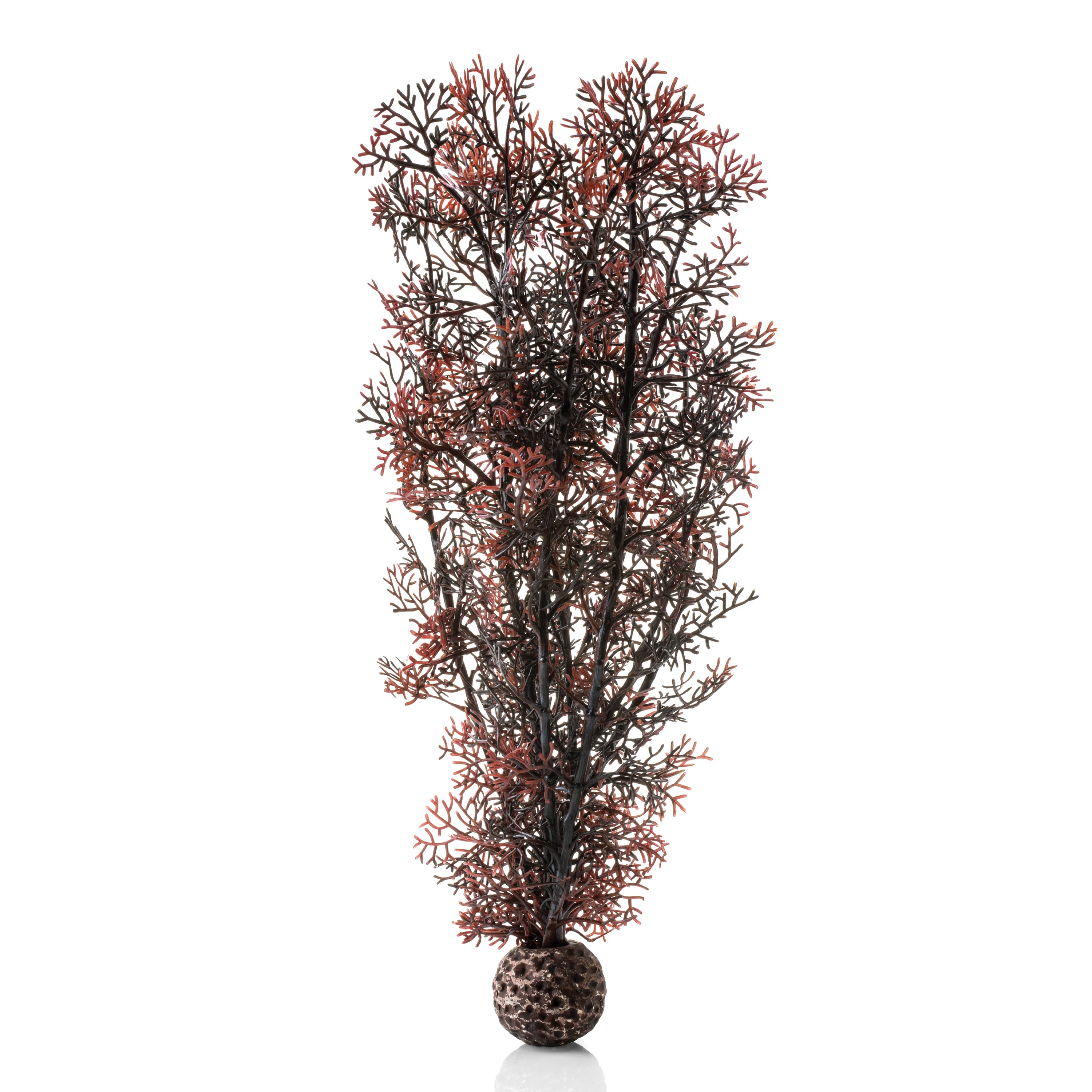 Large Sea Fan - Crimson