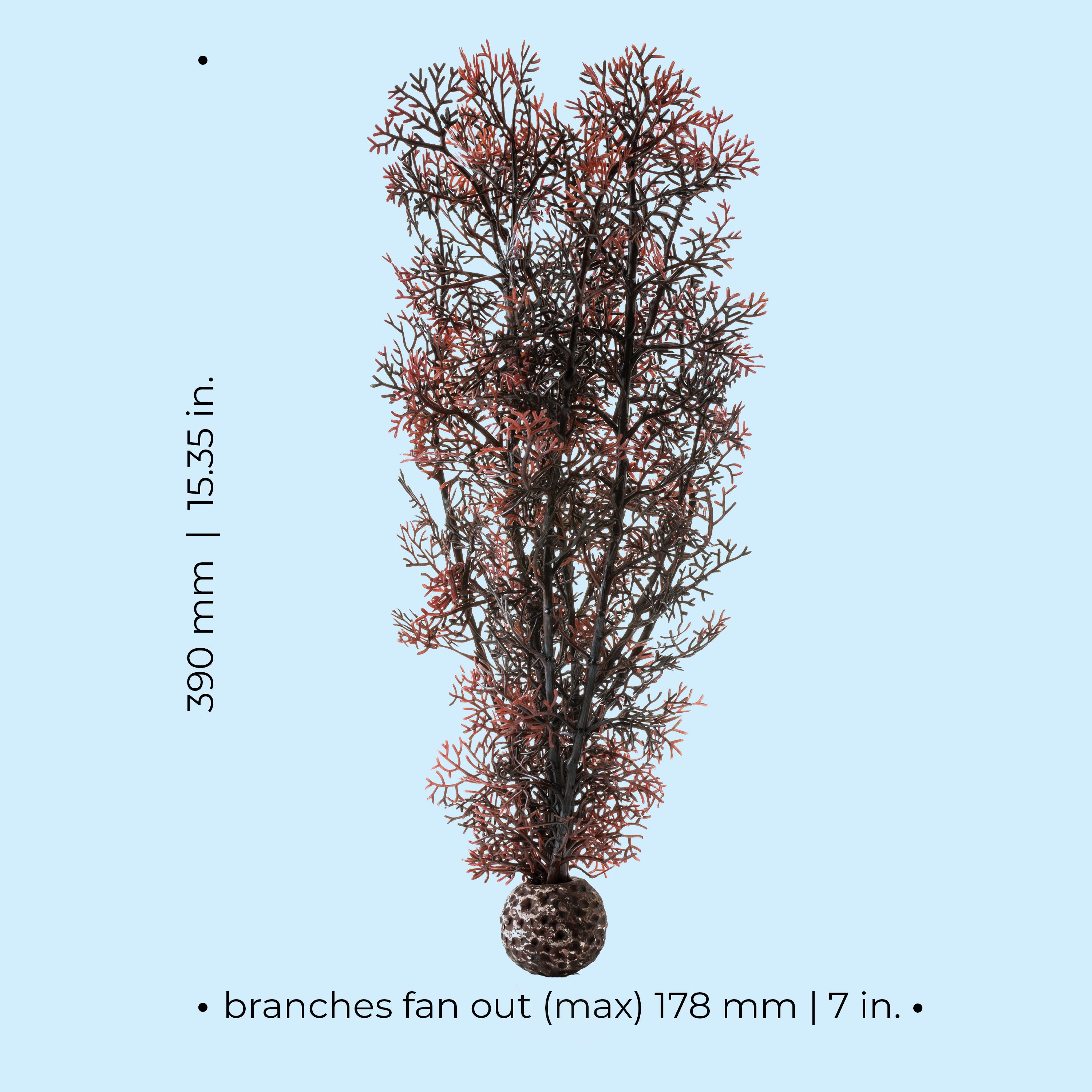 Large Sea Fan - Dimensions