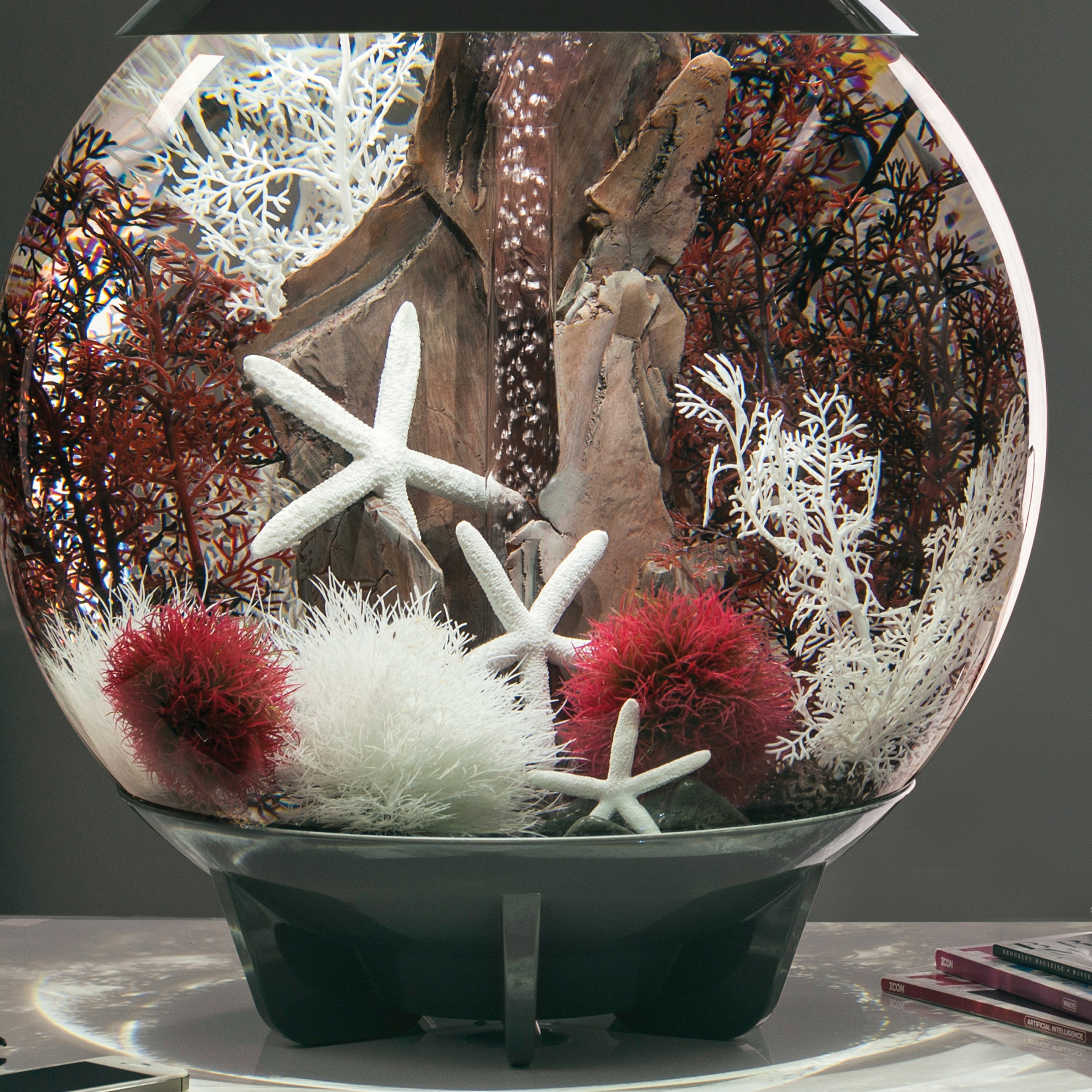 Large Sea Fan - Crimson In use