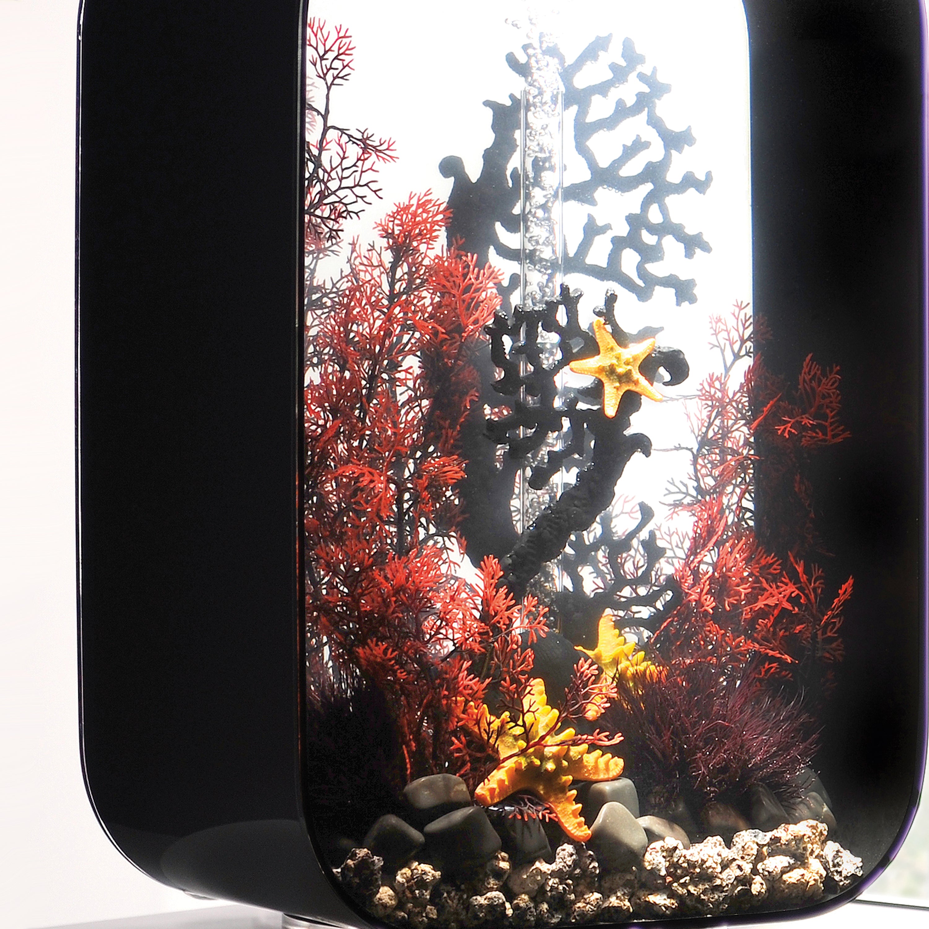 Large Sea Fan - Crimson In use