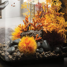 Sea Lily - Crimson In use