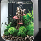 Green Feather Fern Plant Set, small - In use