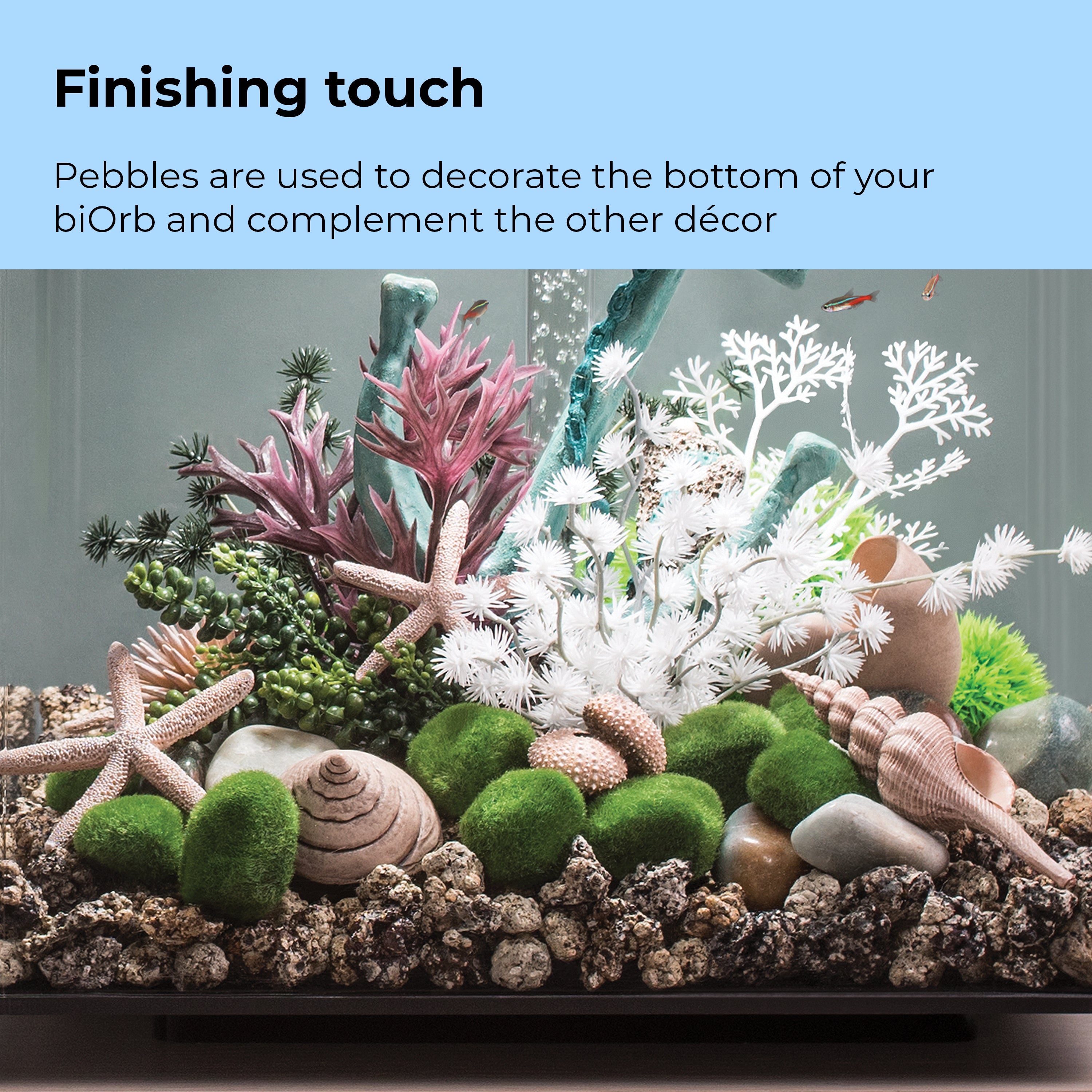 Moss Pebbles Set - Finishing touch
