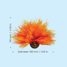 Sea Lily - Dimensions
