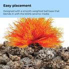 Sea Lily - Easy placement