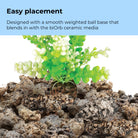 Green Caulerpa - Easy placement