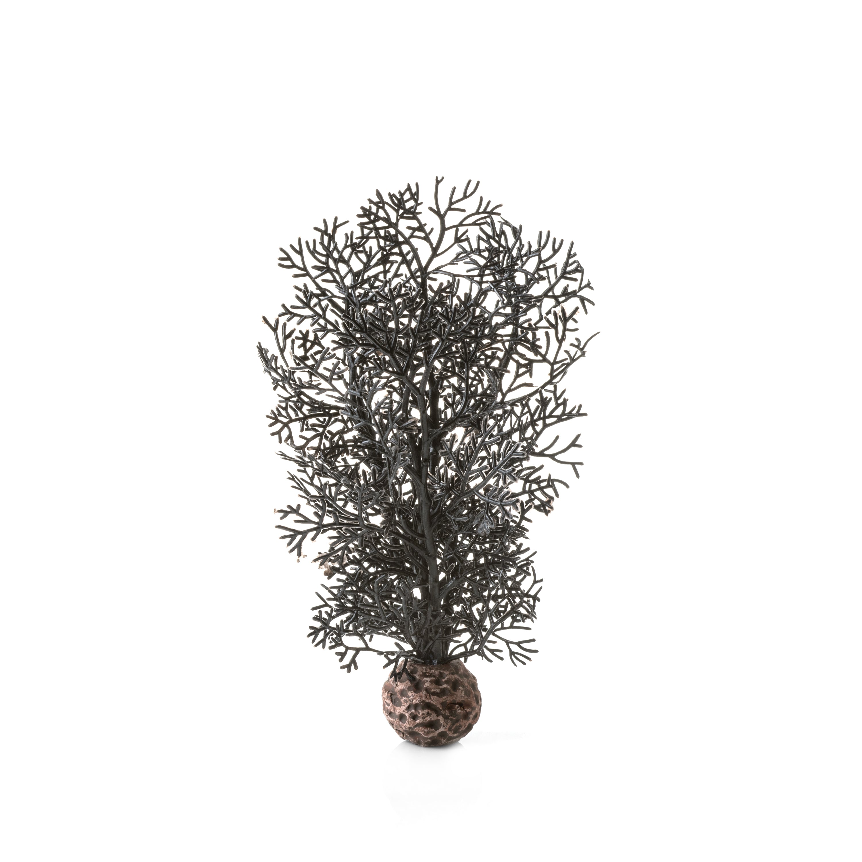 Small Sea Fan - Black