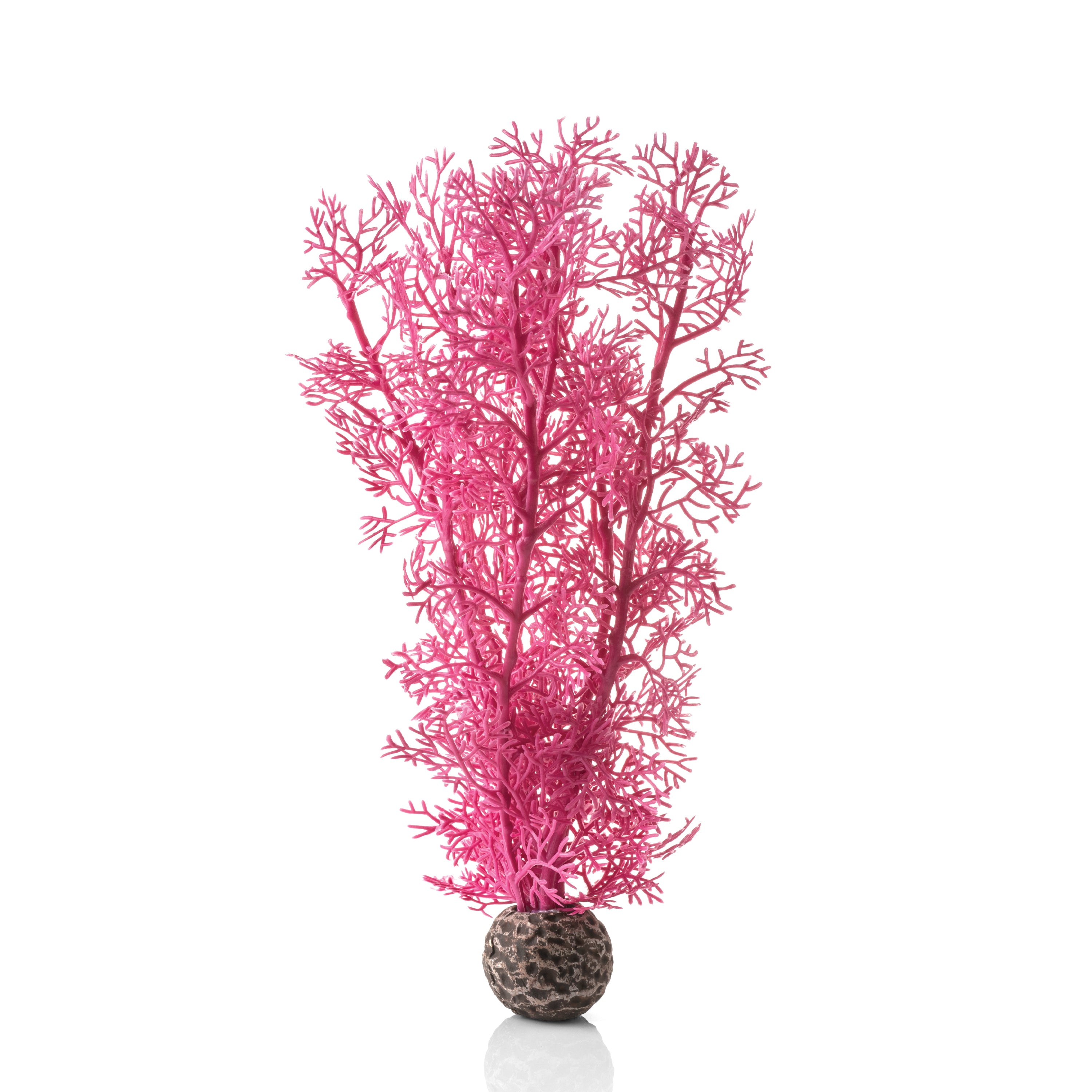Medium Sea Fan - Pink