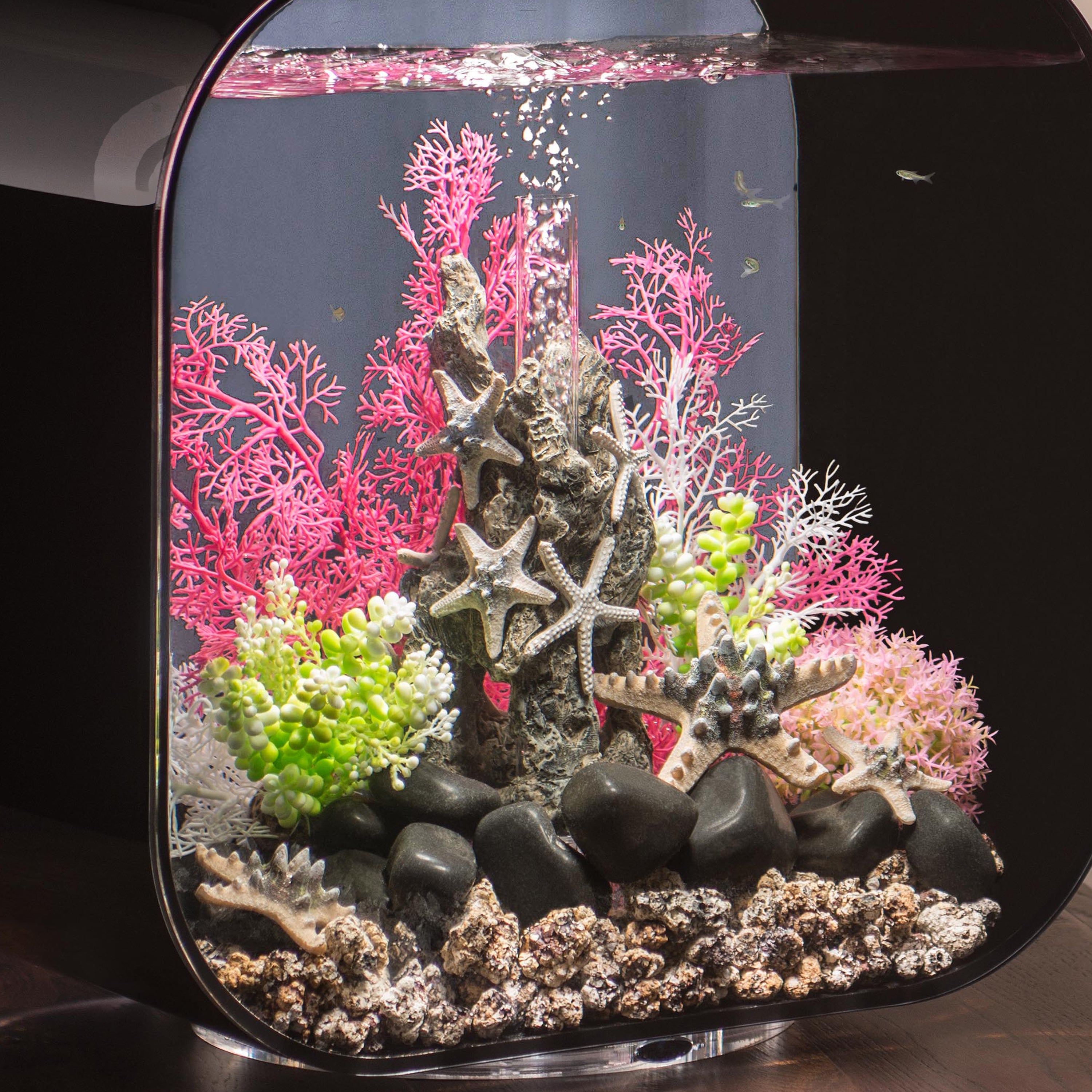 Medium Sea Fan - Pink In use