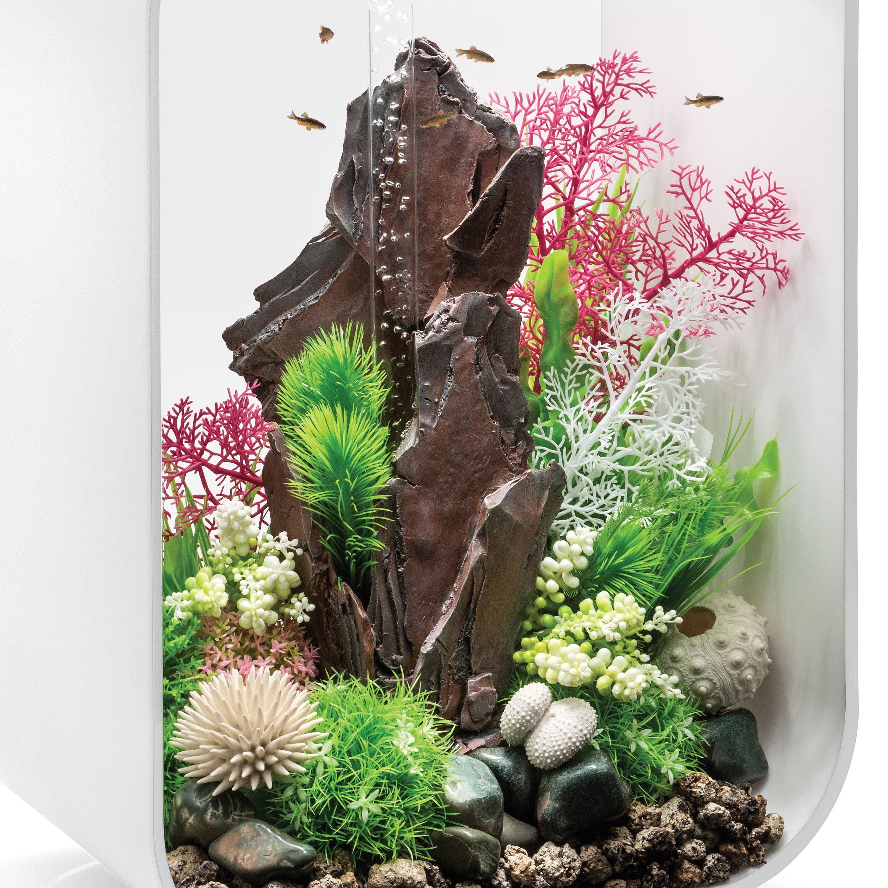 Medium Sea Fan - Pink In use