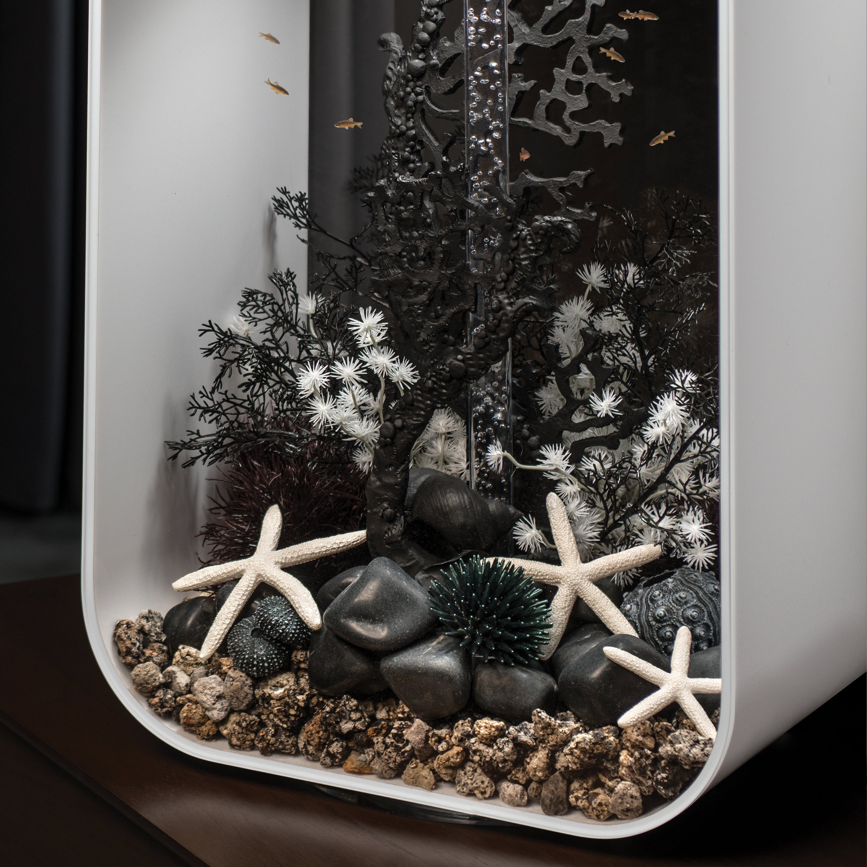 Medium Sea Fan - Black In use