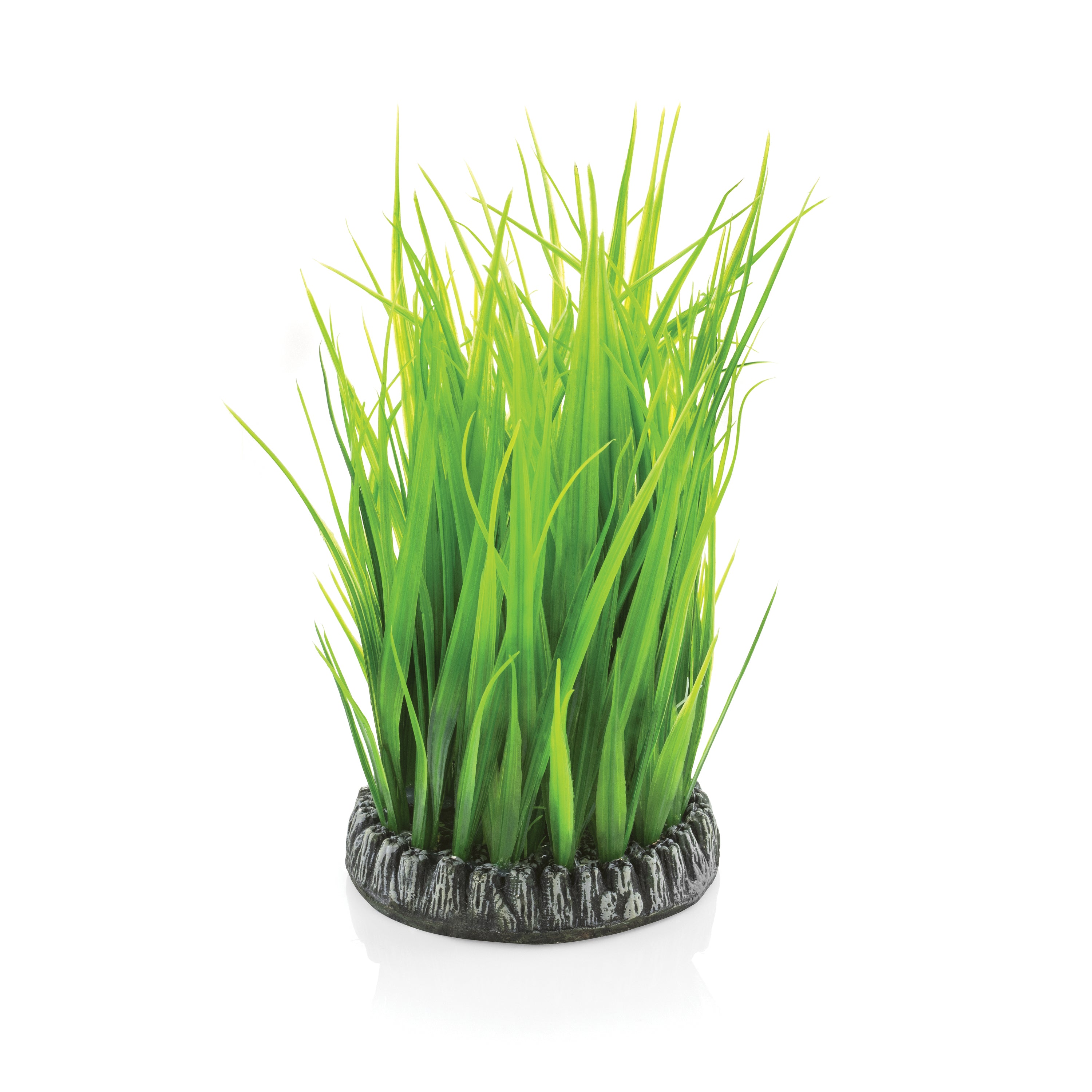 Medium Grass Ring