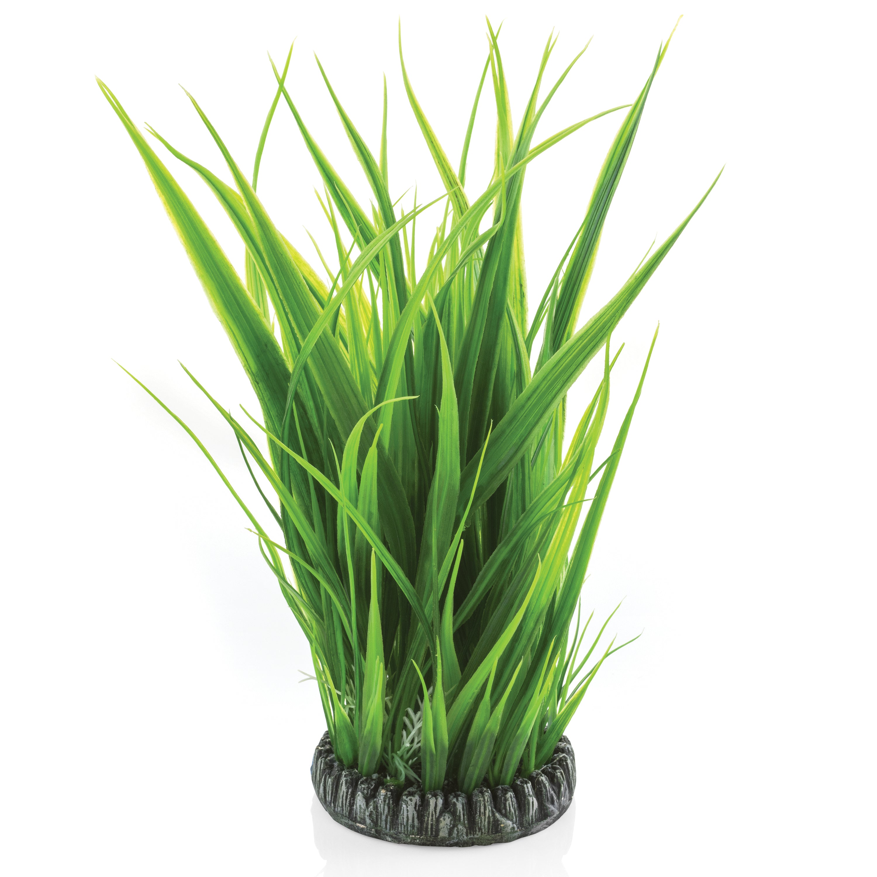 Large Grass Ring