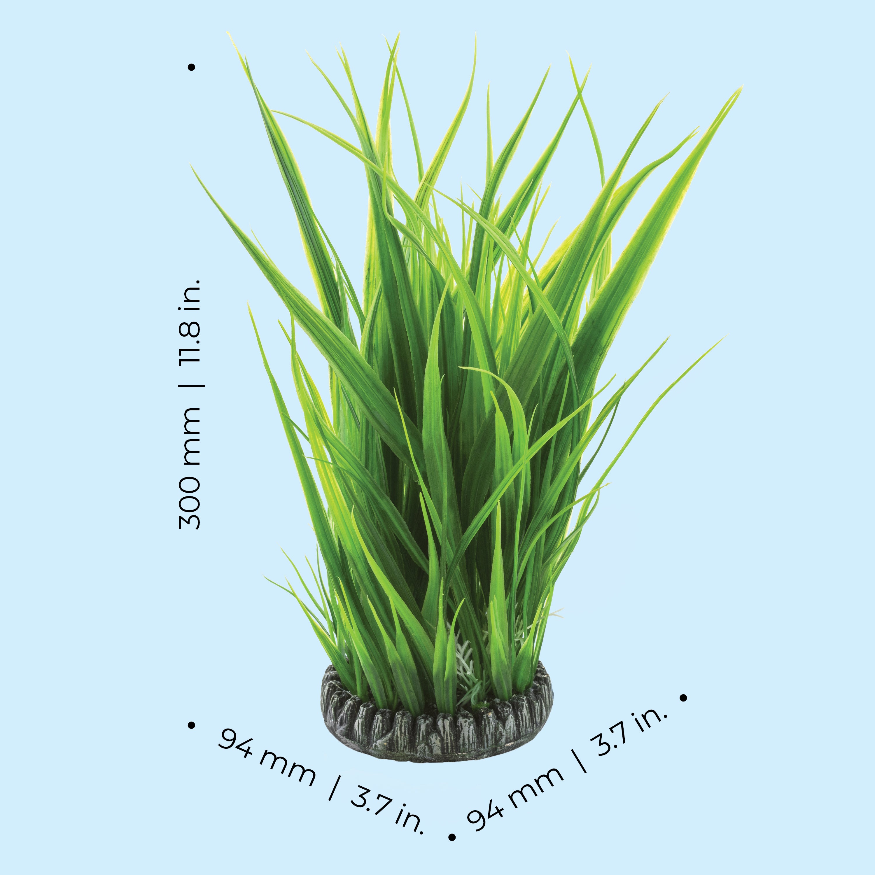 Large Grass Ring dimensions