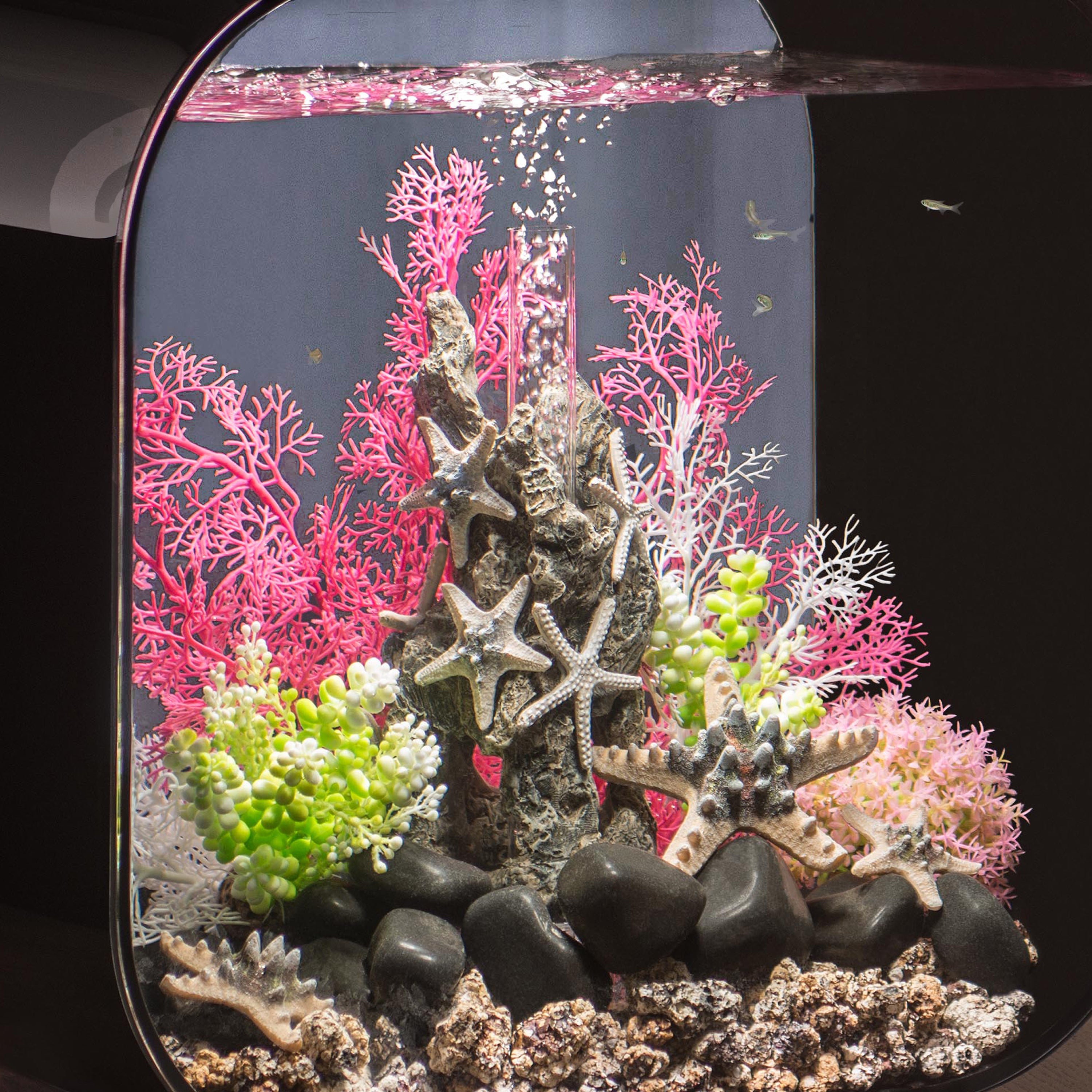 Sea Star Rock Sculpture - In use