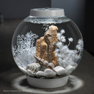 Sea Shell Set - White In use