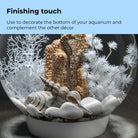 Sea Shell Set - Finishing touch