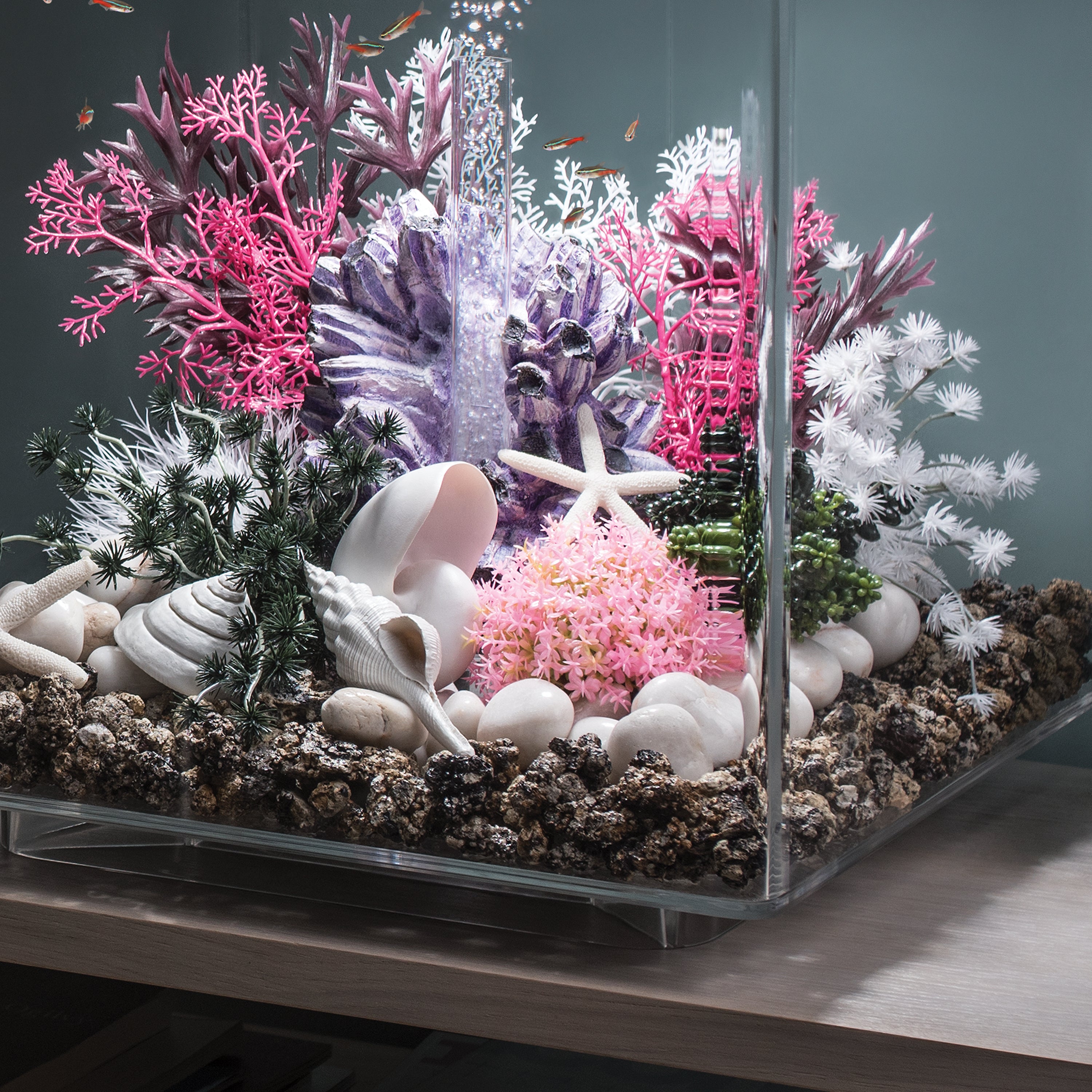 Sea Shell Set - White In use