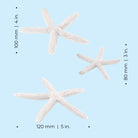 Starfish Set - Dimensions