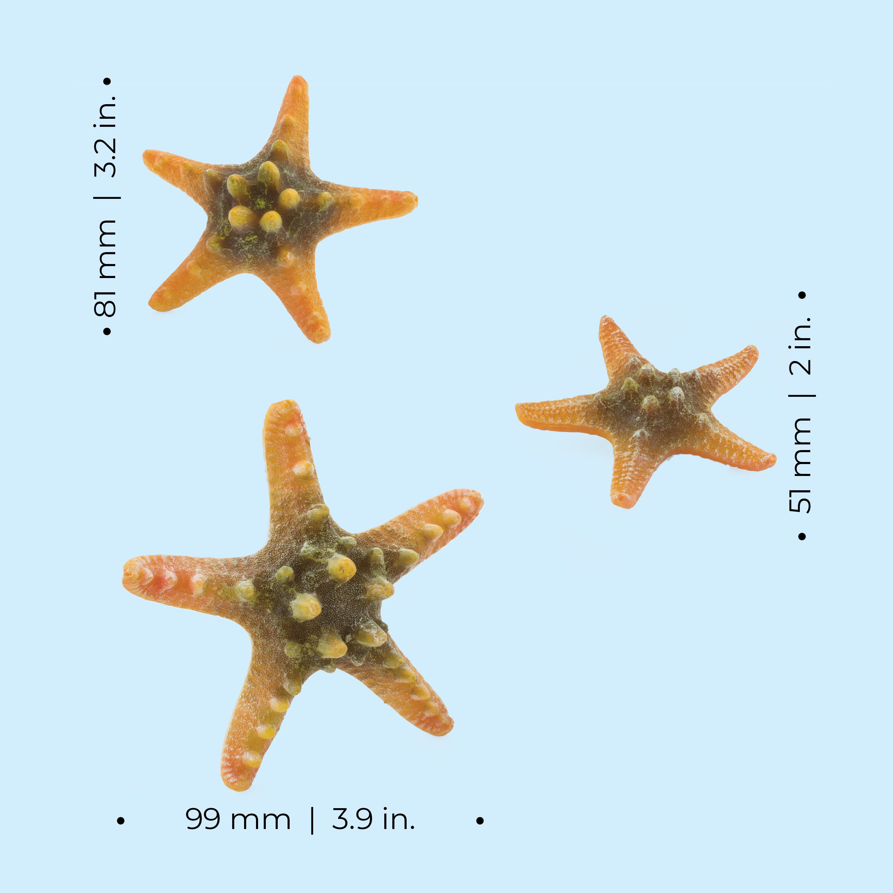 Starfish Set - Dimensions