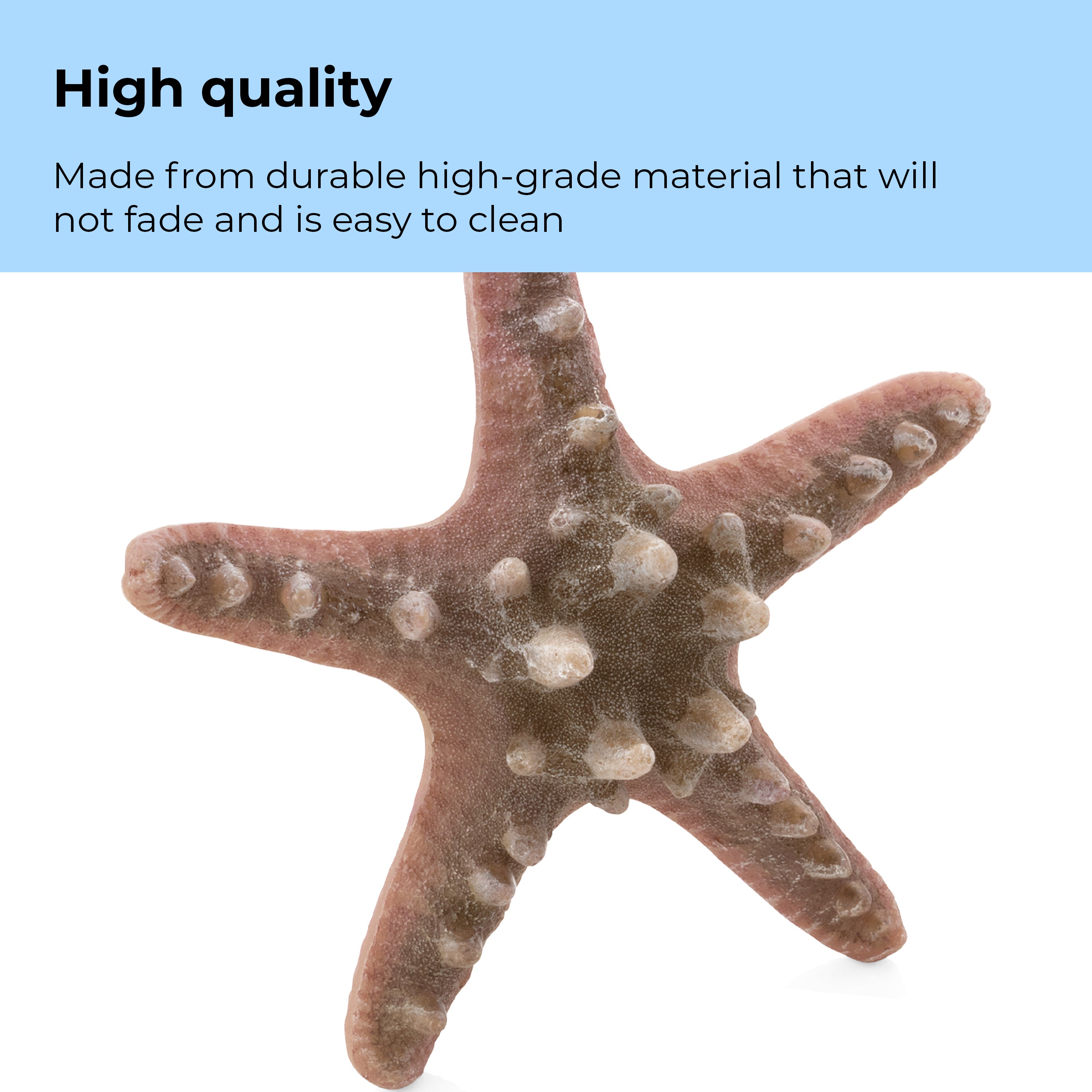 Starfish Set - High quality