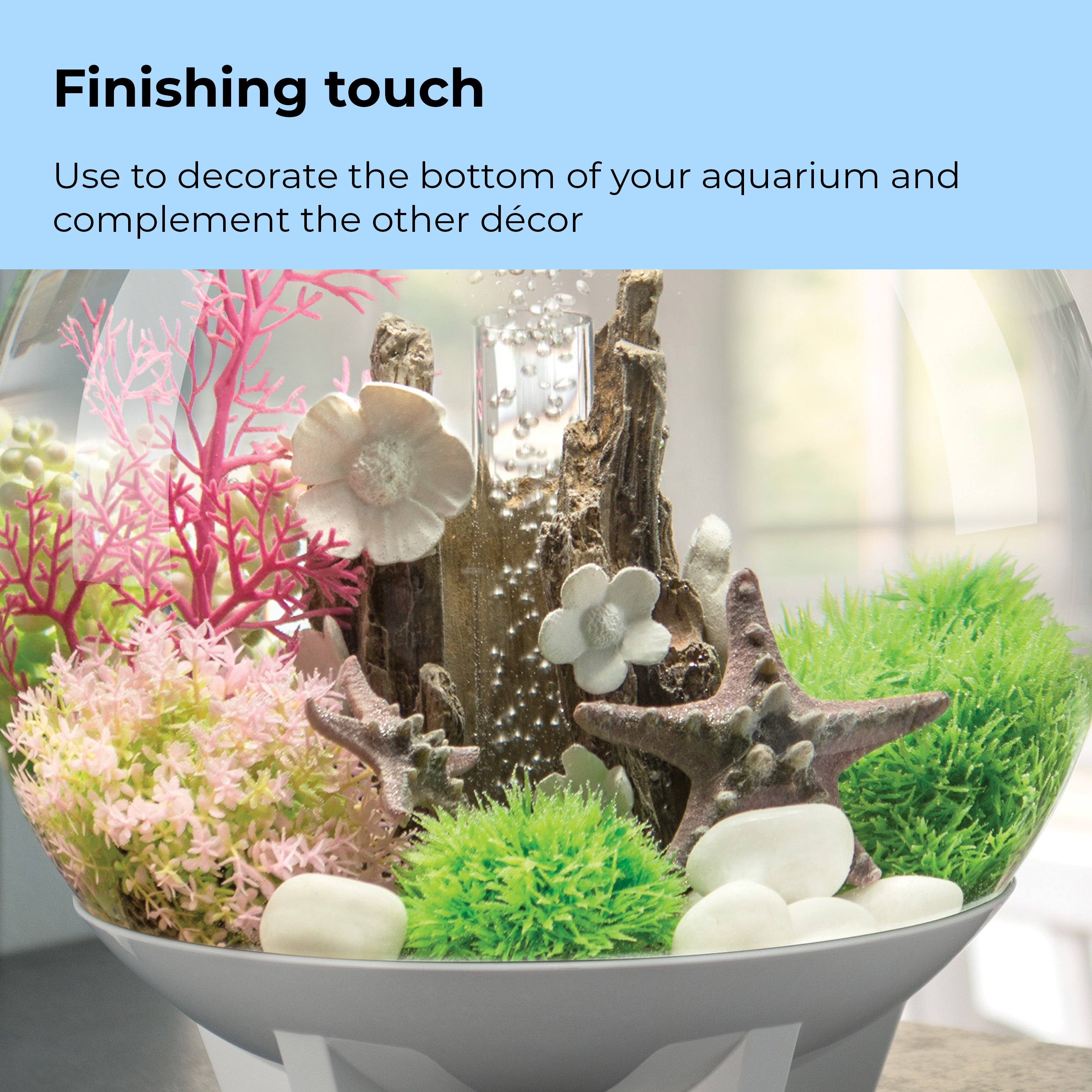 Starfish Set - Finishing touch