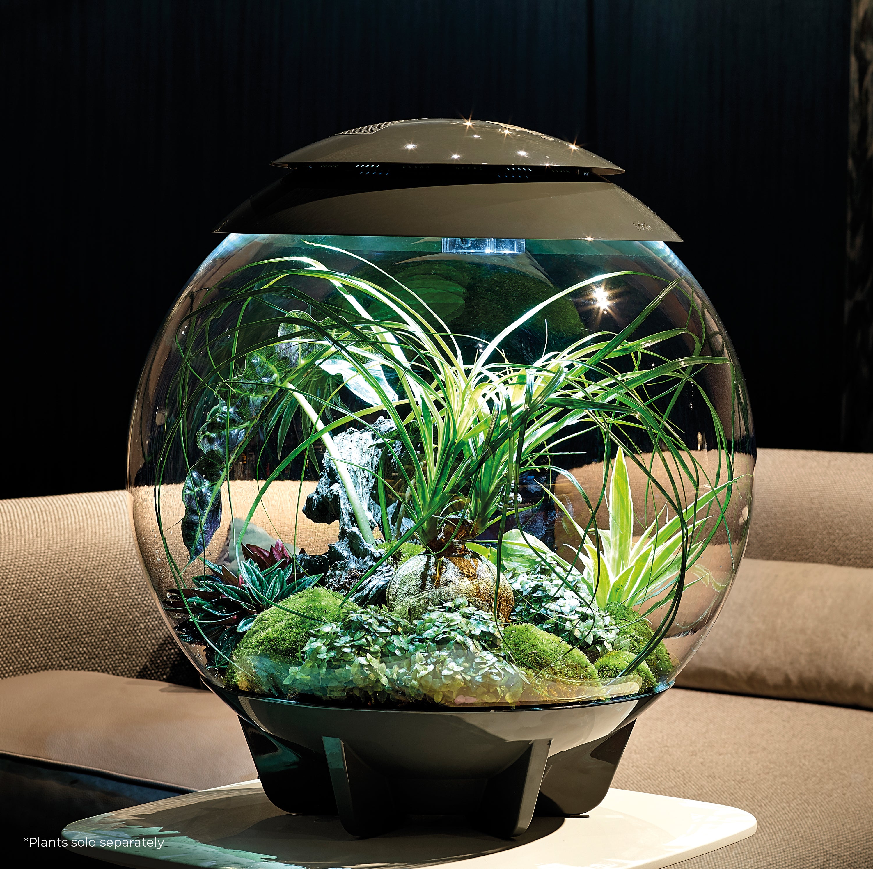 The biOrb AIR terrarium is a fully-automated 360-degree terrarium that replicates the natural conditions found under the tropical forest canopy