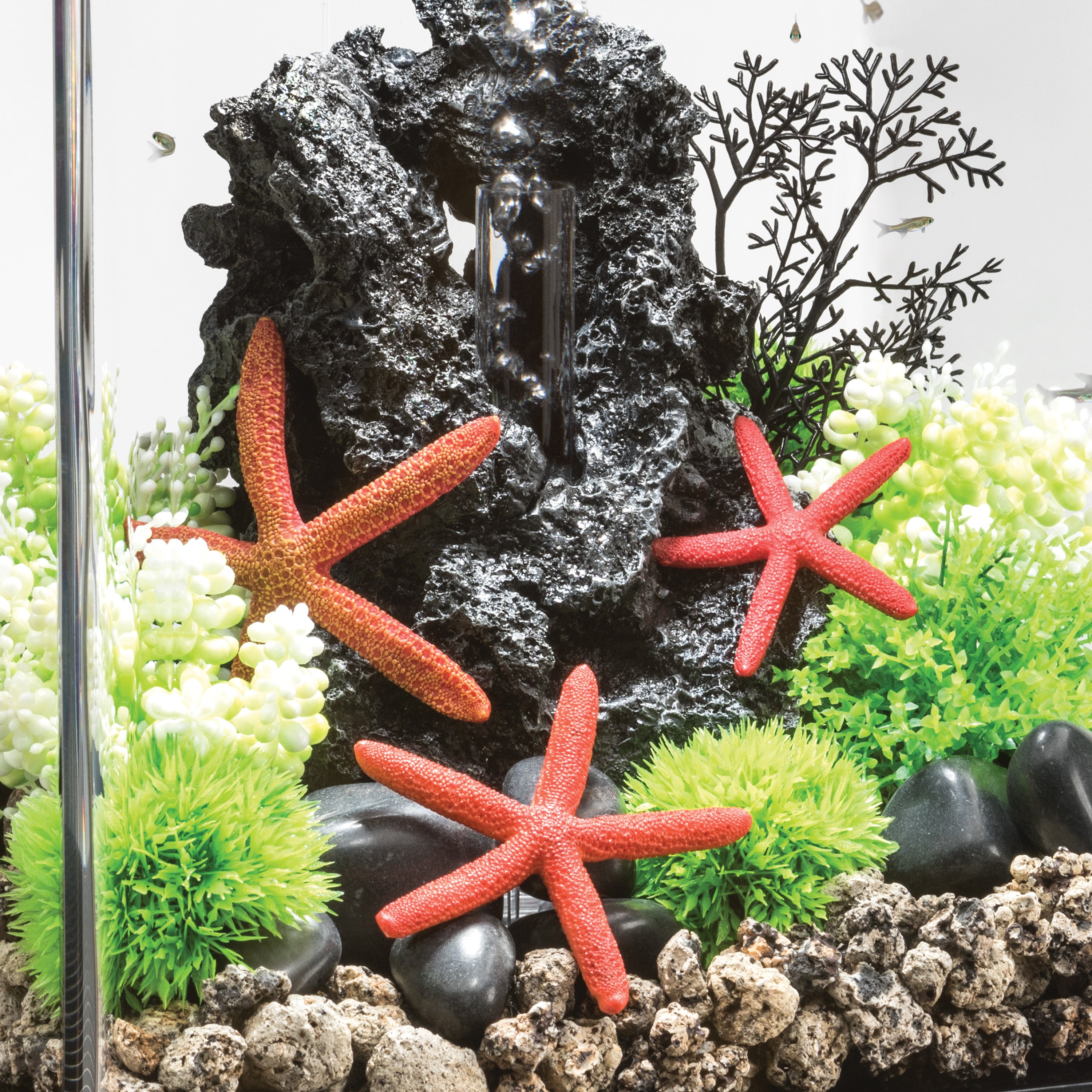 Starfish Set - Red In use