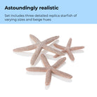 Starfish Set - Astoundingly realistic