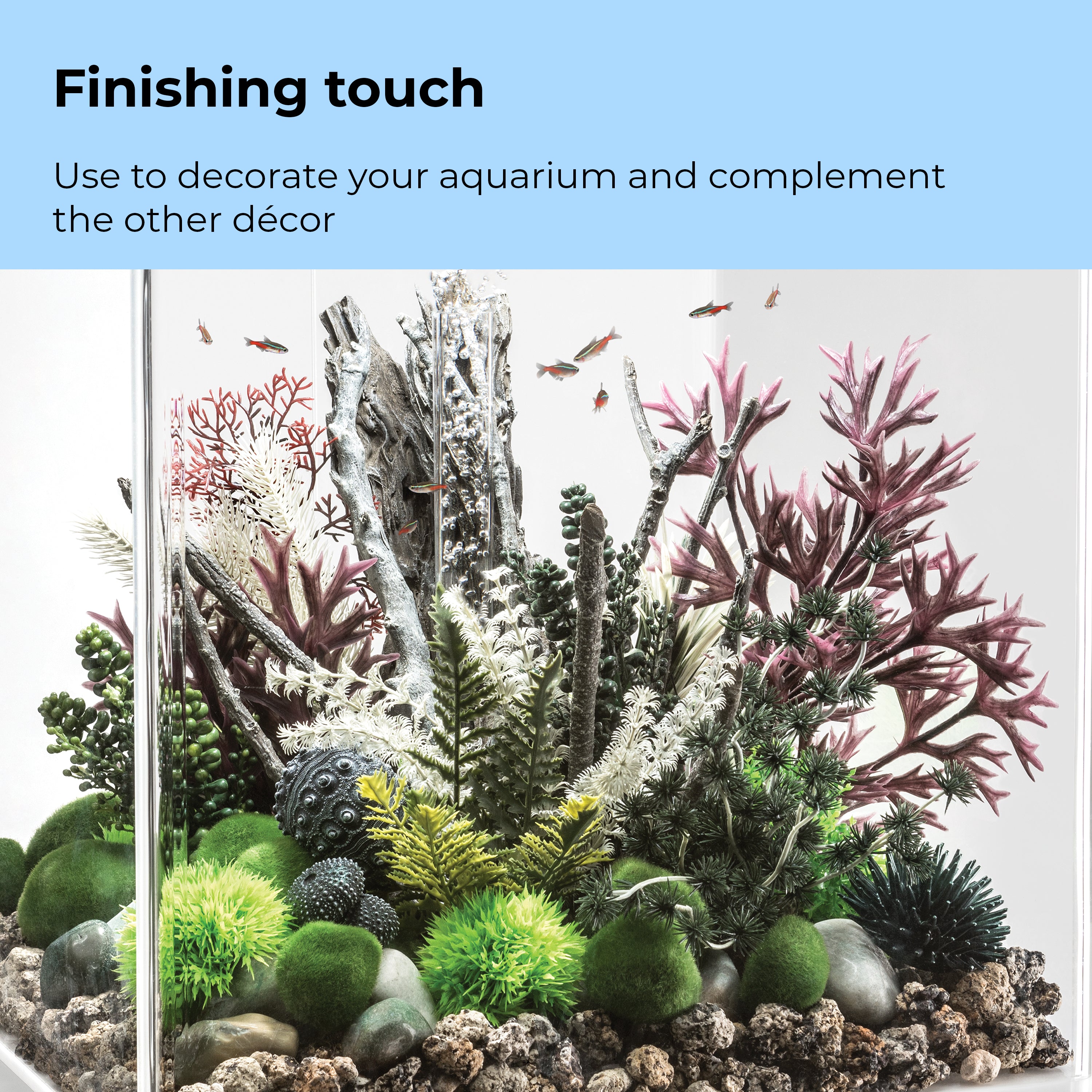 Amazonas Elements Finishing touch